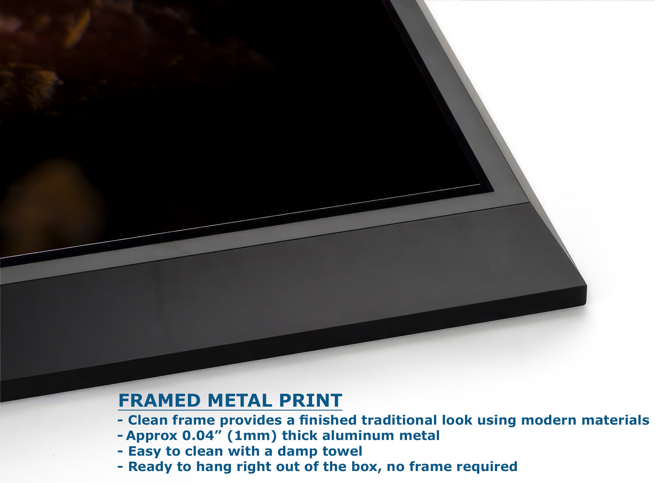 Hermissenda Opalescent Nudibranch Ocean Life Underwater Scenery Marine Biology Nature Photo