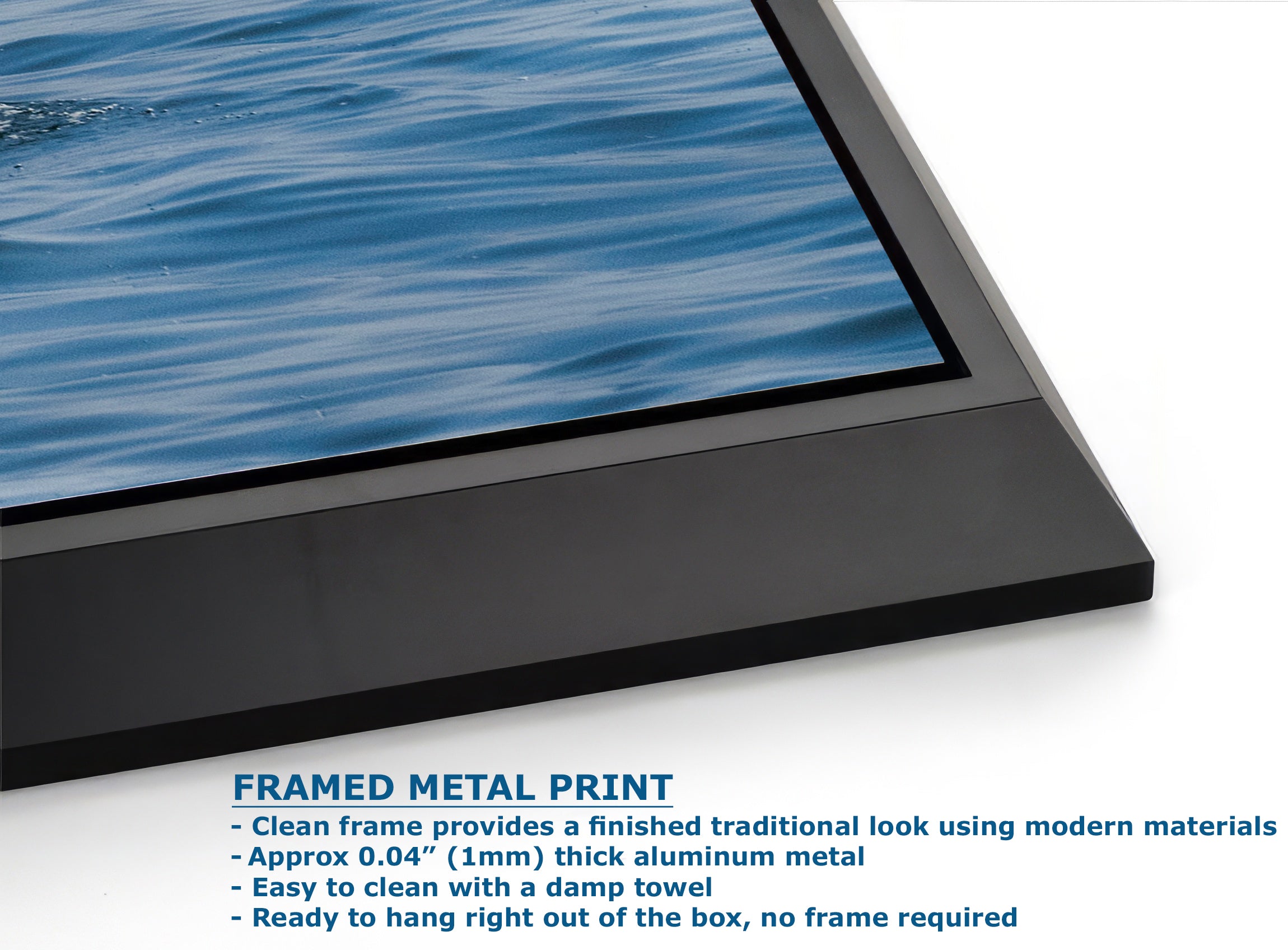 Wildlife Photography Ocean Picture Limited Edition Print Humpback Whale Fluke