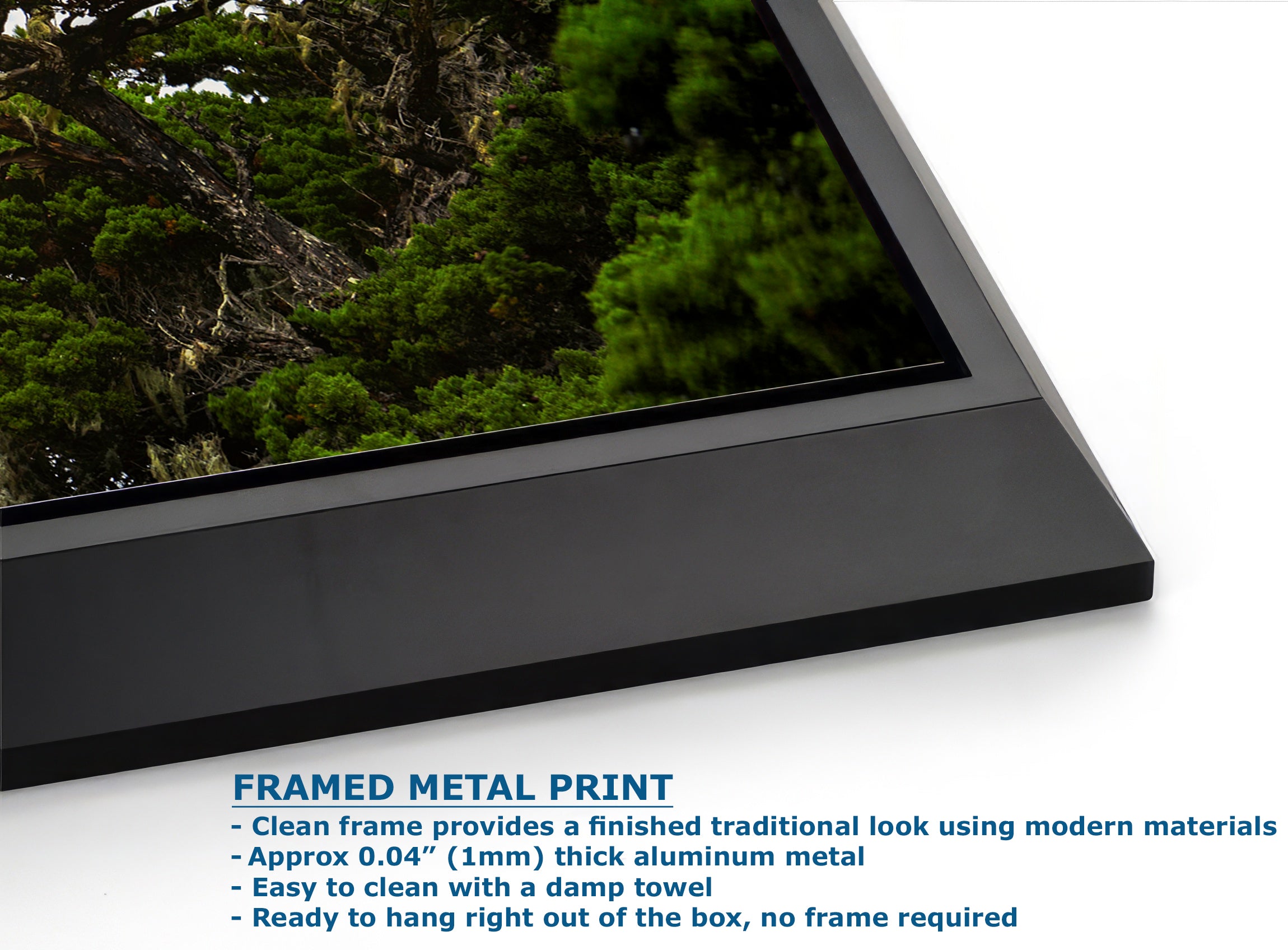 California Coastline Limited Edition Fine Art Print – Lone Cypress Ocean Picture Nature Photo