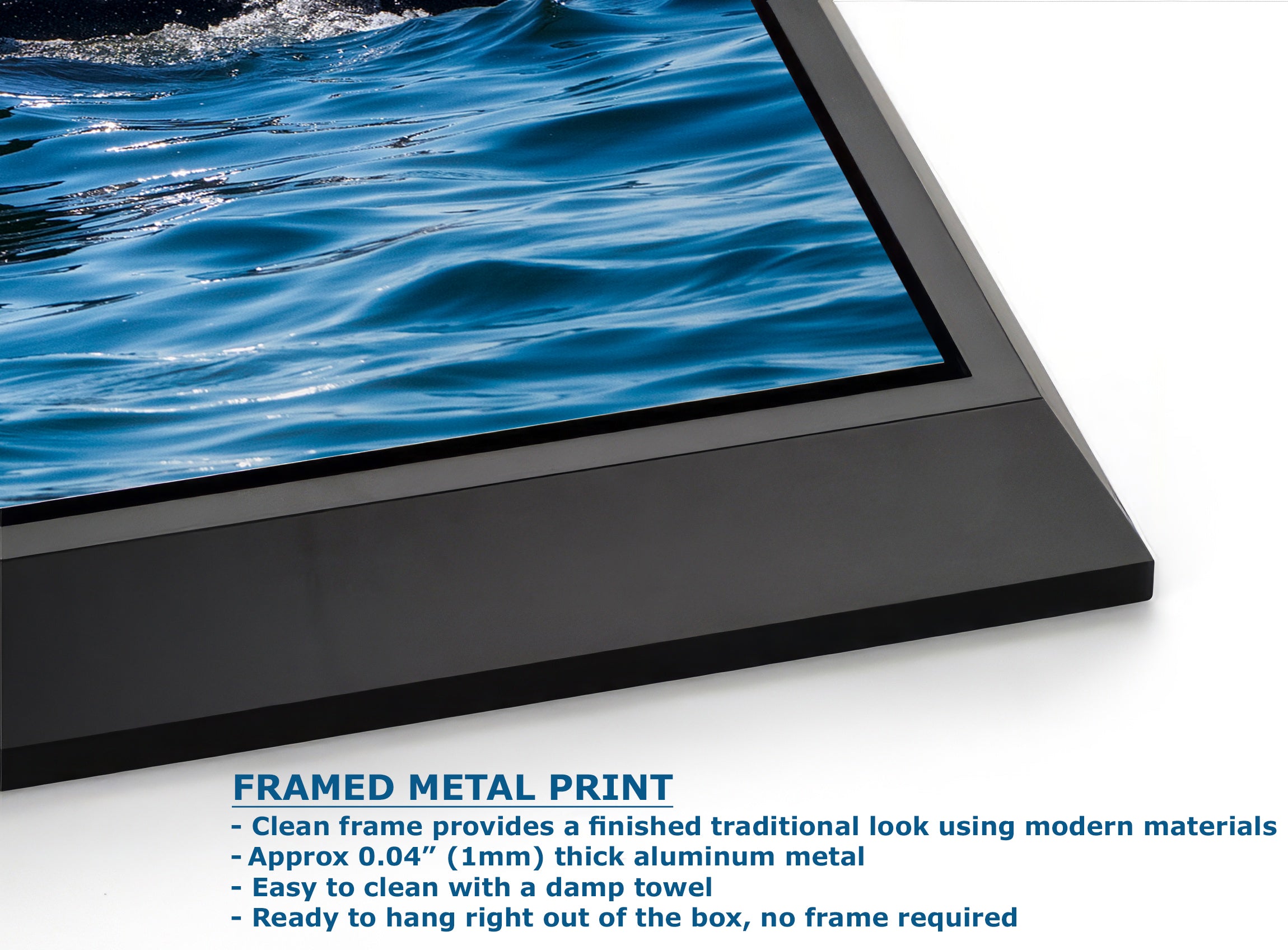 Wildlife Photography Ocean Picture of Orca (Killer Whale) Family Limited Edition Fine Art Print