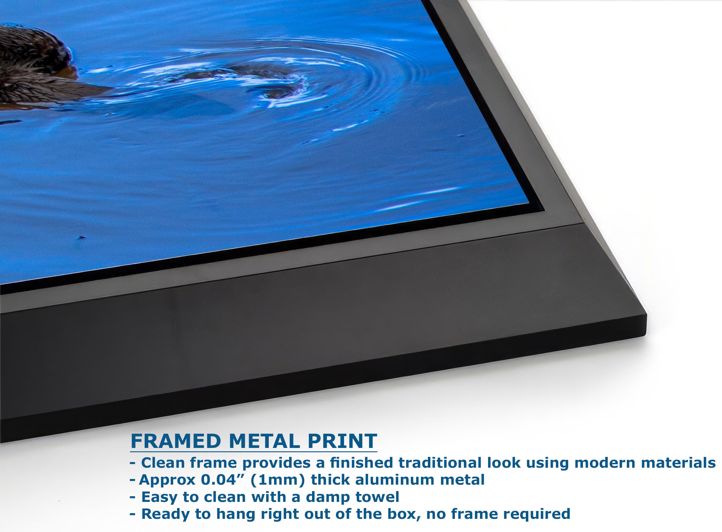 Ocean Picture Limited Edition Fine Art Print – Sea Otter Wildlife Photography Nature Photo