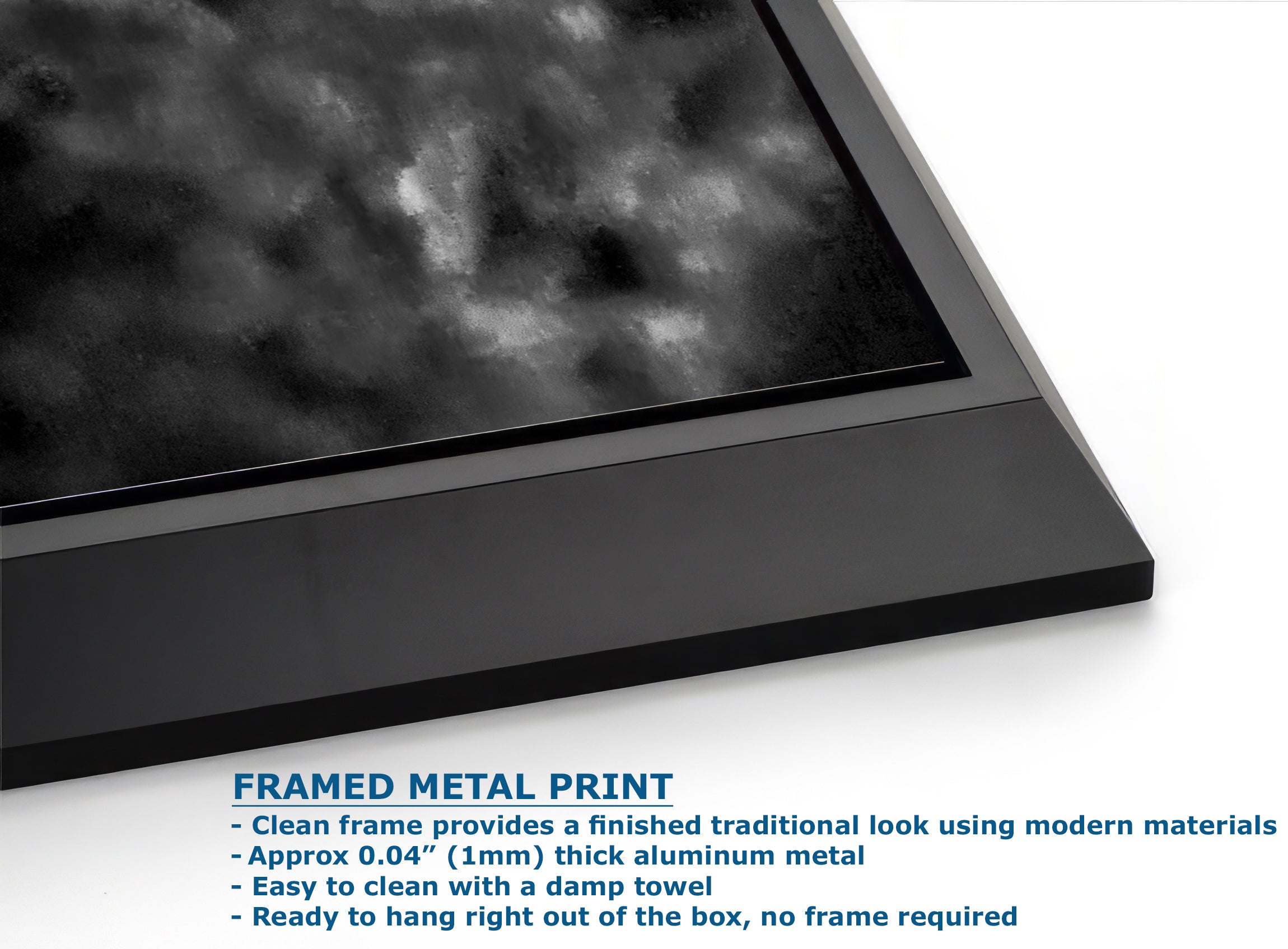 Sea Anemone Picture Ocean Life Underwater Scenery Nature Photo, Marine Biology Decor, Black and White Coral Reef Art for Marine Enthusiasts