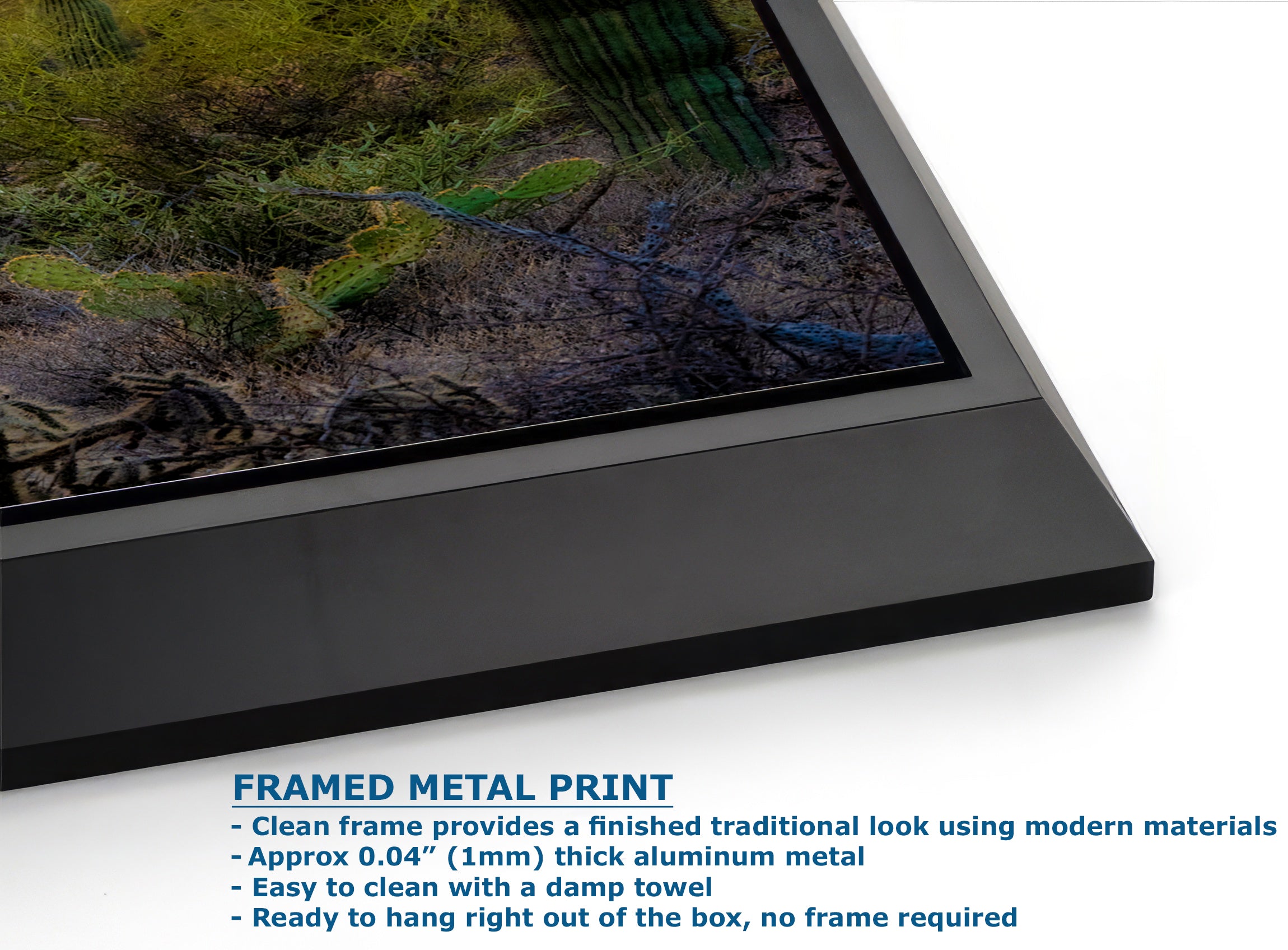 Saguaro National Park Arizona Desert Picture Nature Photo, Bohemian Style Relaxation Artwork, Southwestern Sonoran Desert House Decor