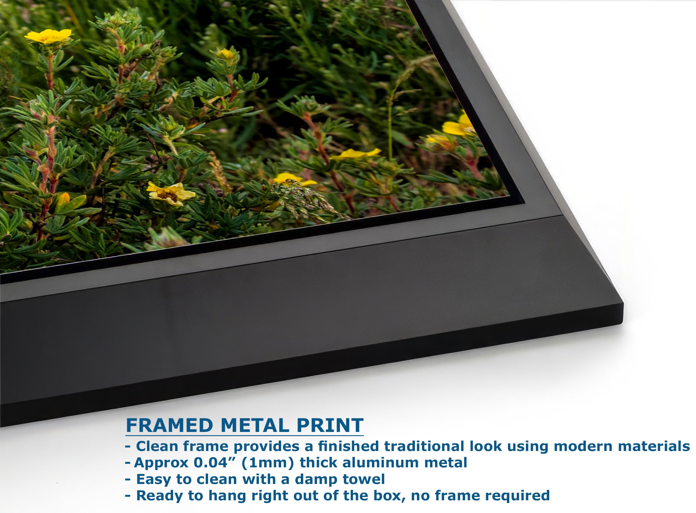 Grand Teton National Park Mountain Picture, Schwabacher Landing Nature Photo for Bohemian Decor and Meditation Artwork