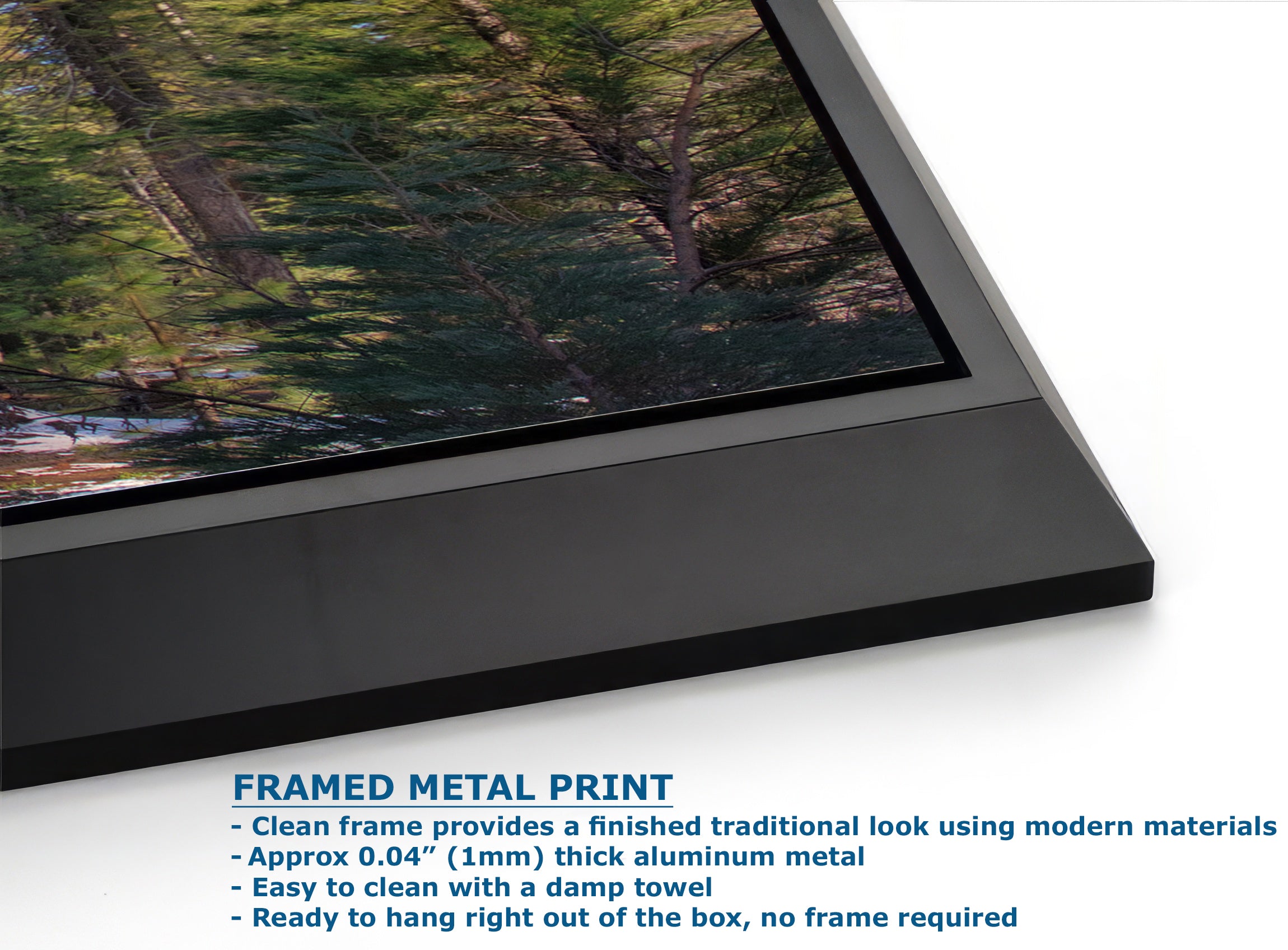 Giant Sequoia Tree Art, Redwood Forest Picture, Nature Photo Inspired Wall Decor