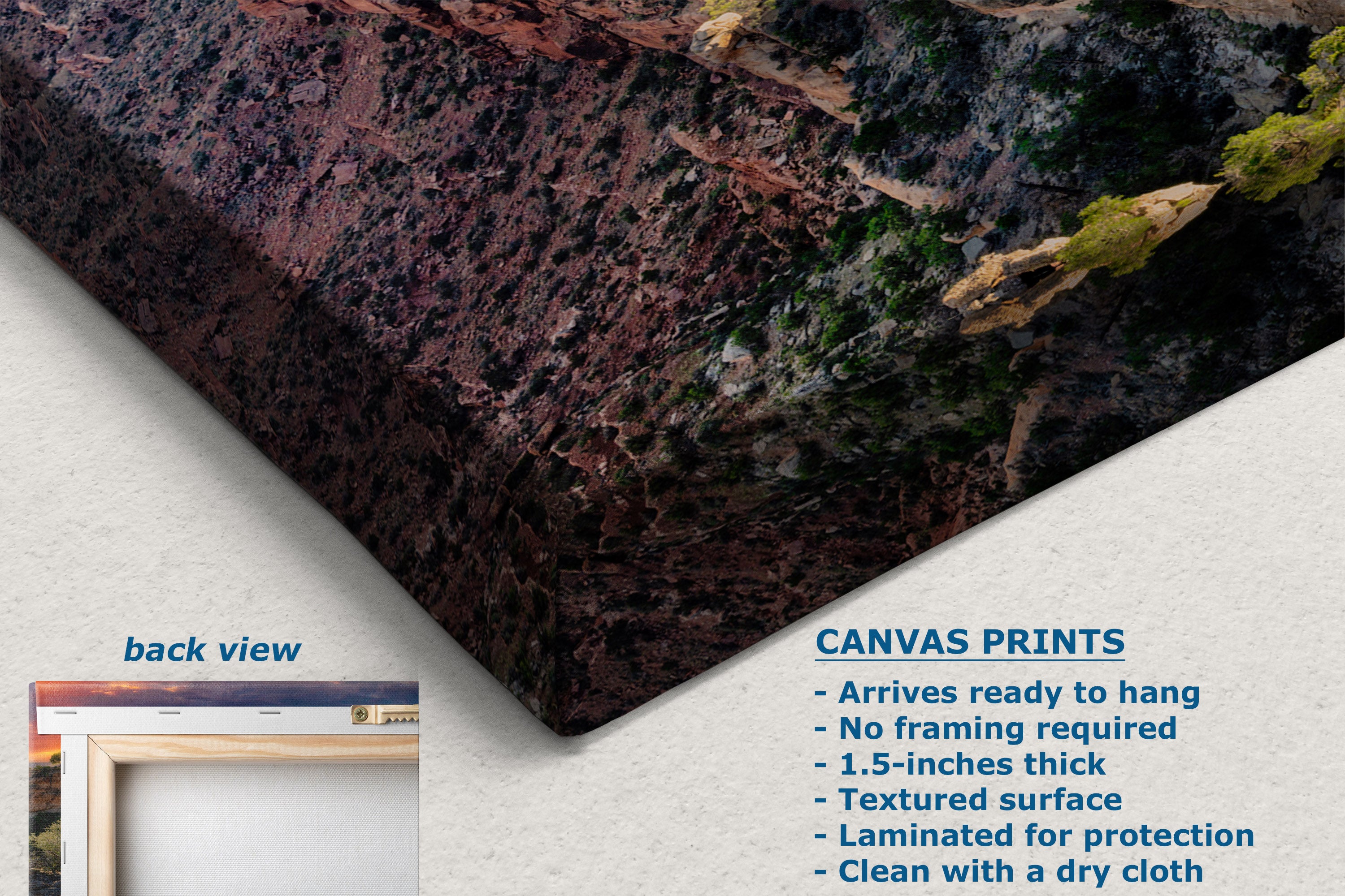 A canvas print product shown at an angle with a textured desert scene on the front and product details text on a white background. A small inset shows the back view with a frame.