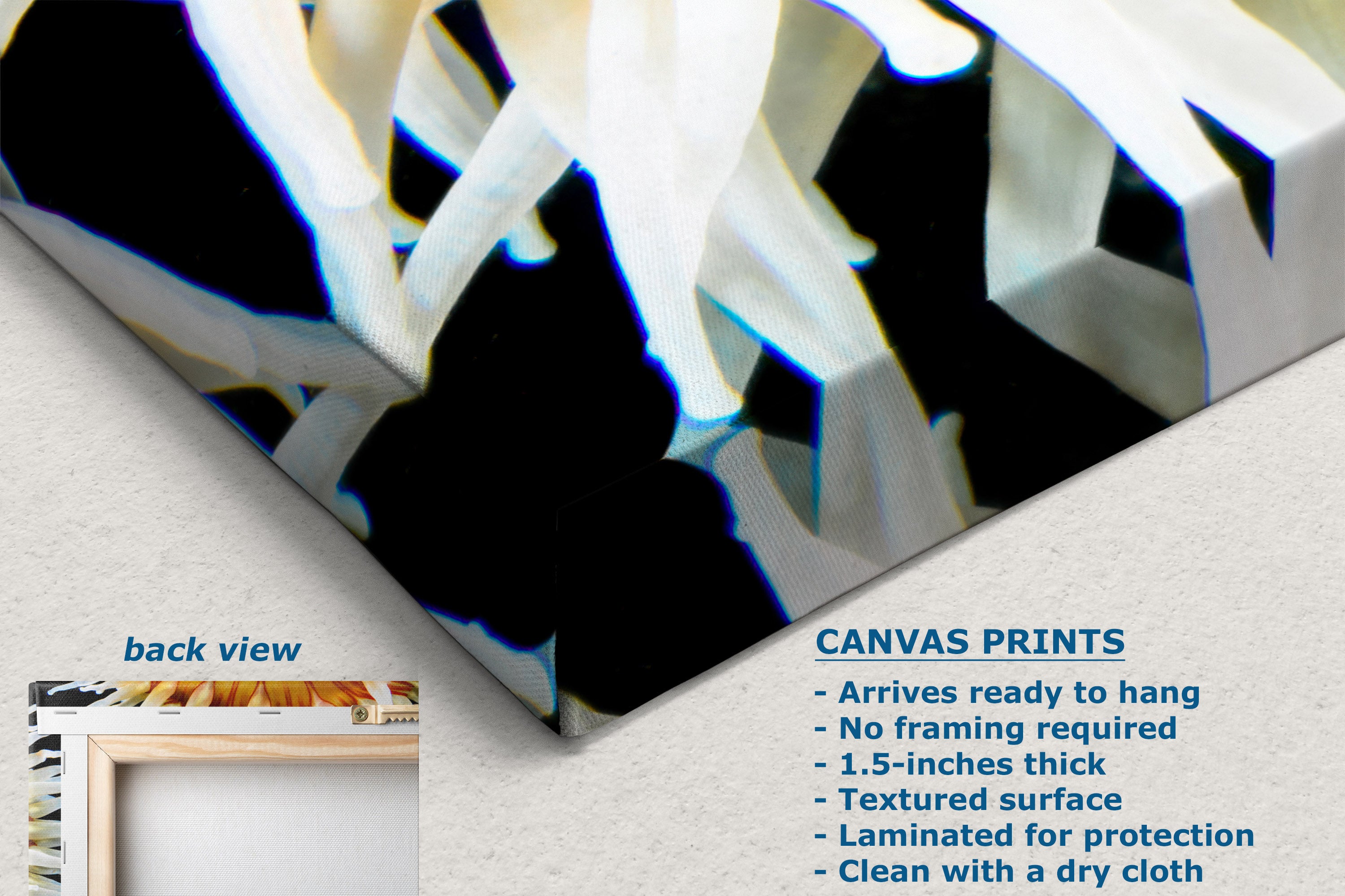 A canvas print product shown at an angle on a light neutral background, with text describing the print features and a small inset labeled back view showing the reverse side.