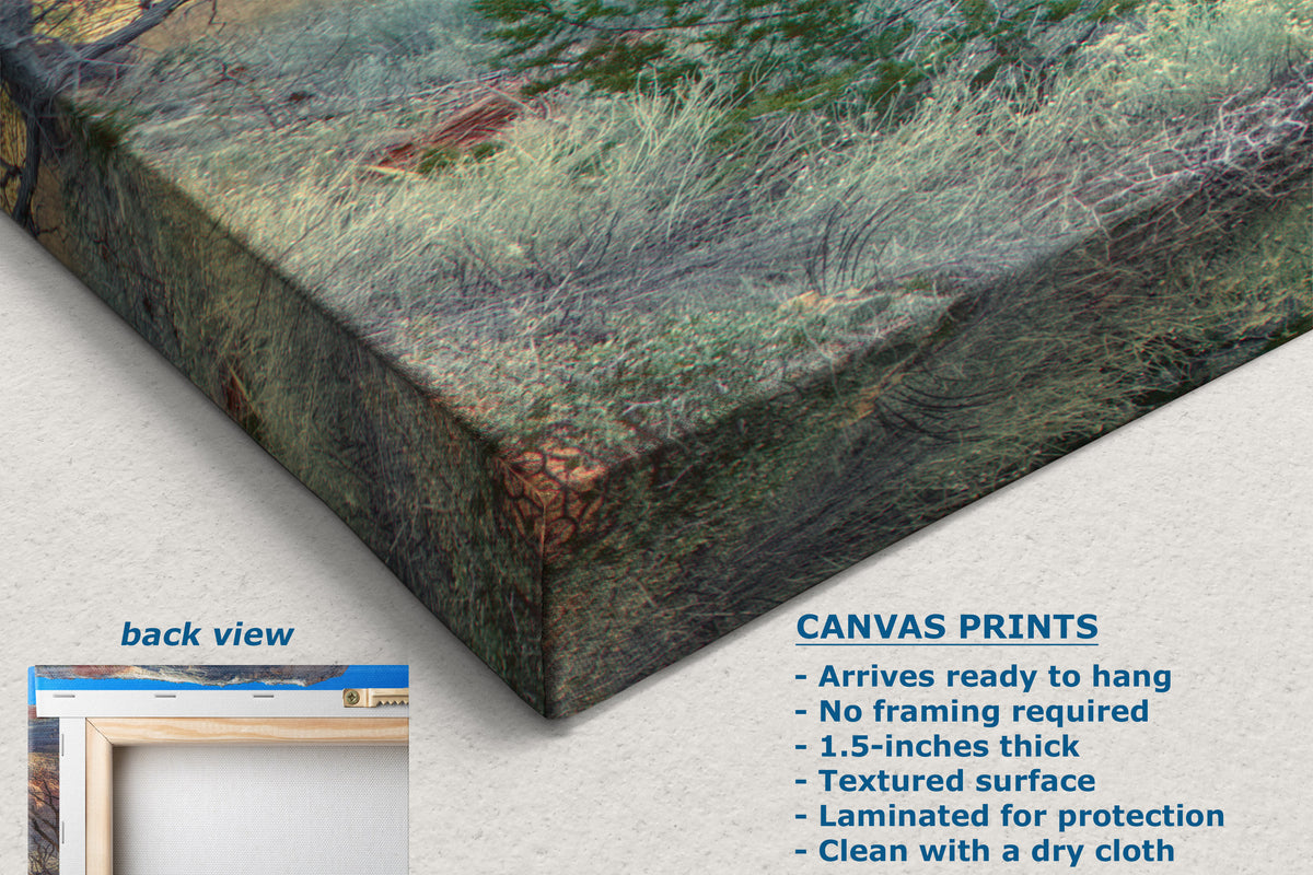 A corner view of a canvas wall art print shown at an angle, displaying a textured forest floor scene with green grass, brown earth, and tree trunks. The image includes a 'back view' inset in the bottom left and a text overlay detailing the features of canvas prints.