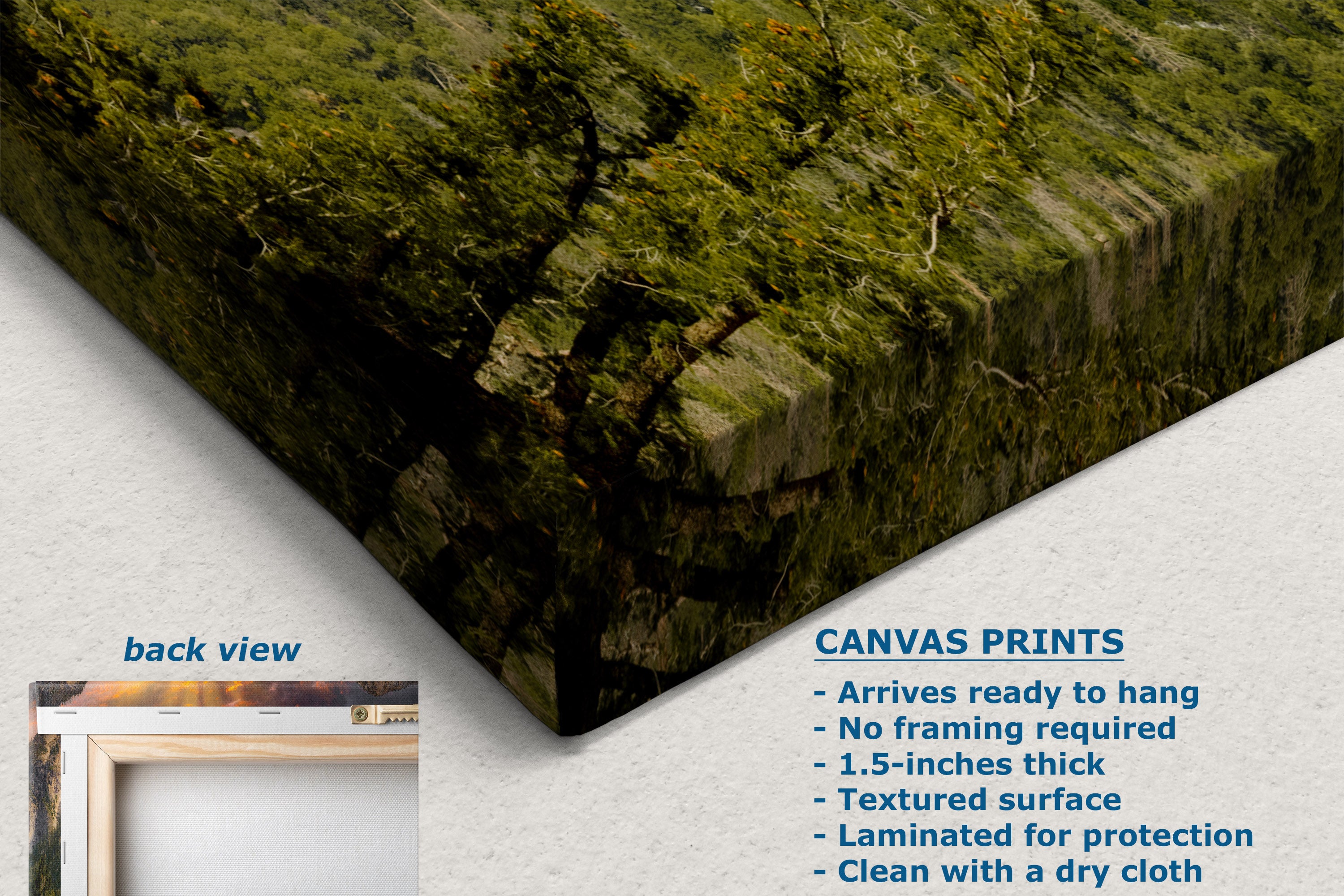 A corner view of a canvas wall art print shown at an angle on a white background, with a small inset labeled 'back view' and text describing the print features: textured surface, 1.5-inch thickness, arrives ready to hang, and a clean dry-cloth cleaning method.