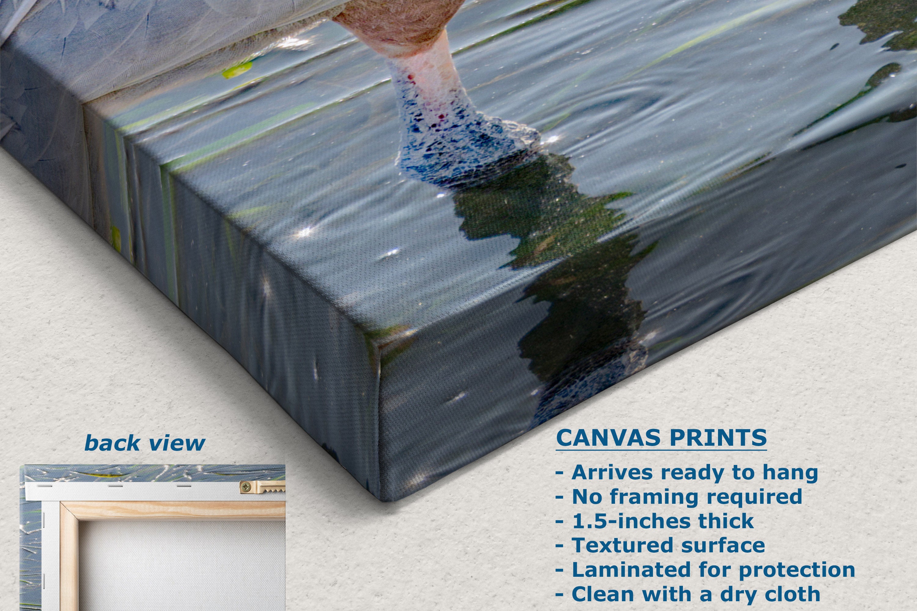 A canvas print product photo showing a wrapped canvas with glossy, raised paint details, a small inset labeled back view, and text describing the canvas print features. Because it is a clean product presentation with informational overlays and no lifestyle environment, the subject type is classified as Product/Packaging.