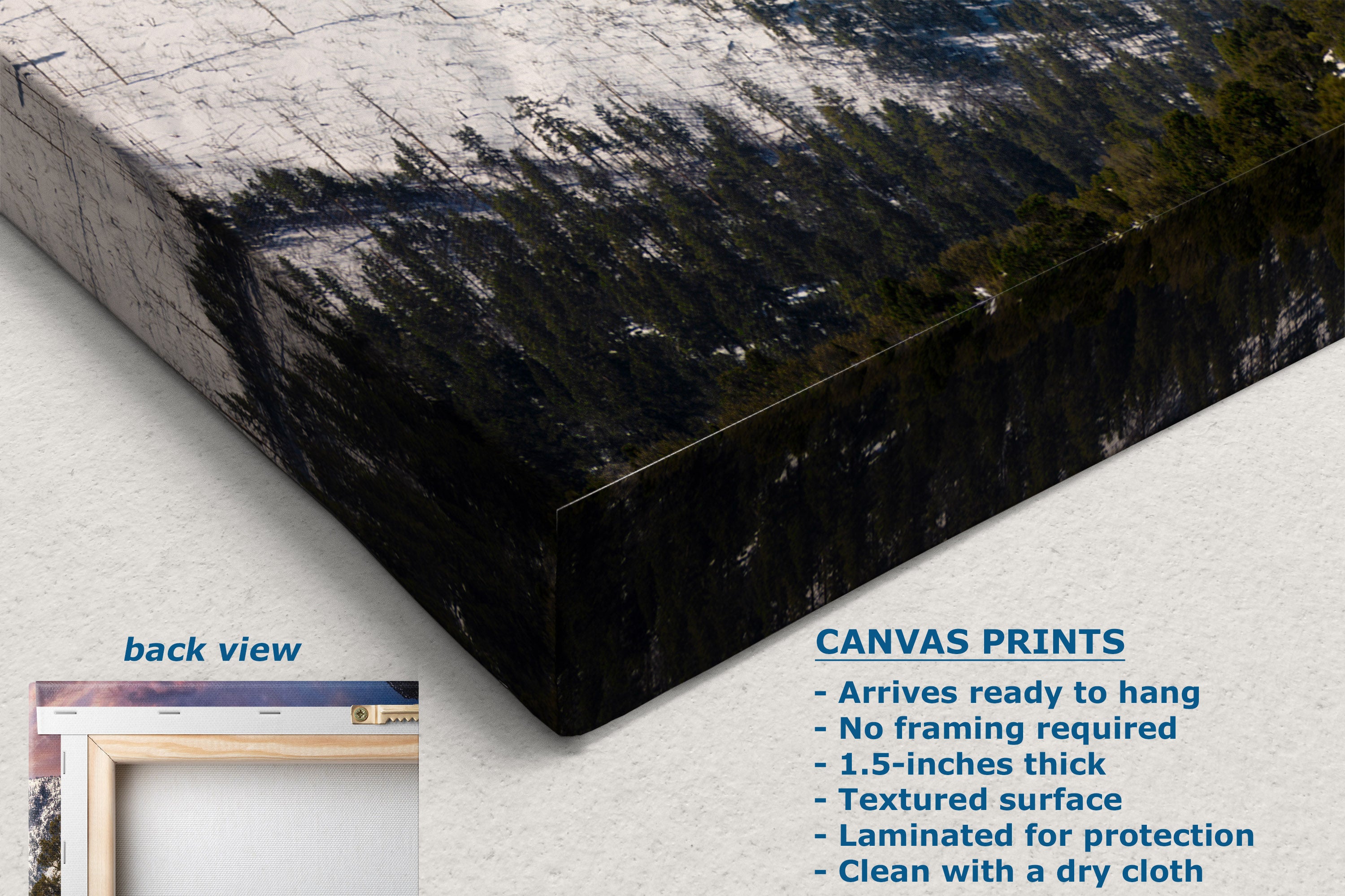Canvas wall art print shown at an angle with a textured dark forest and snowy mountain landscape. Text on the image includes 'back view' and product details for canvas prints, on a light neutral background.