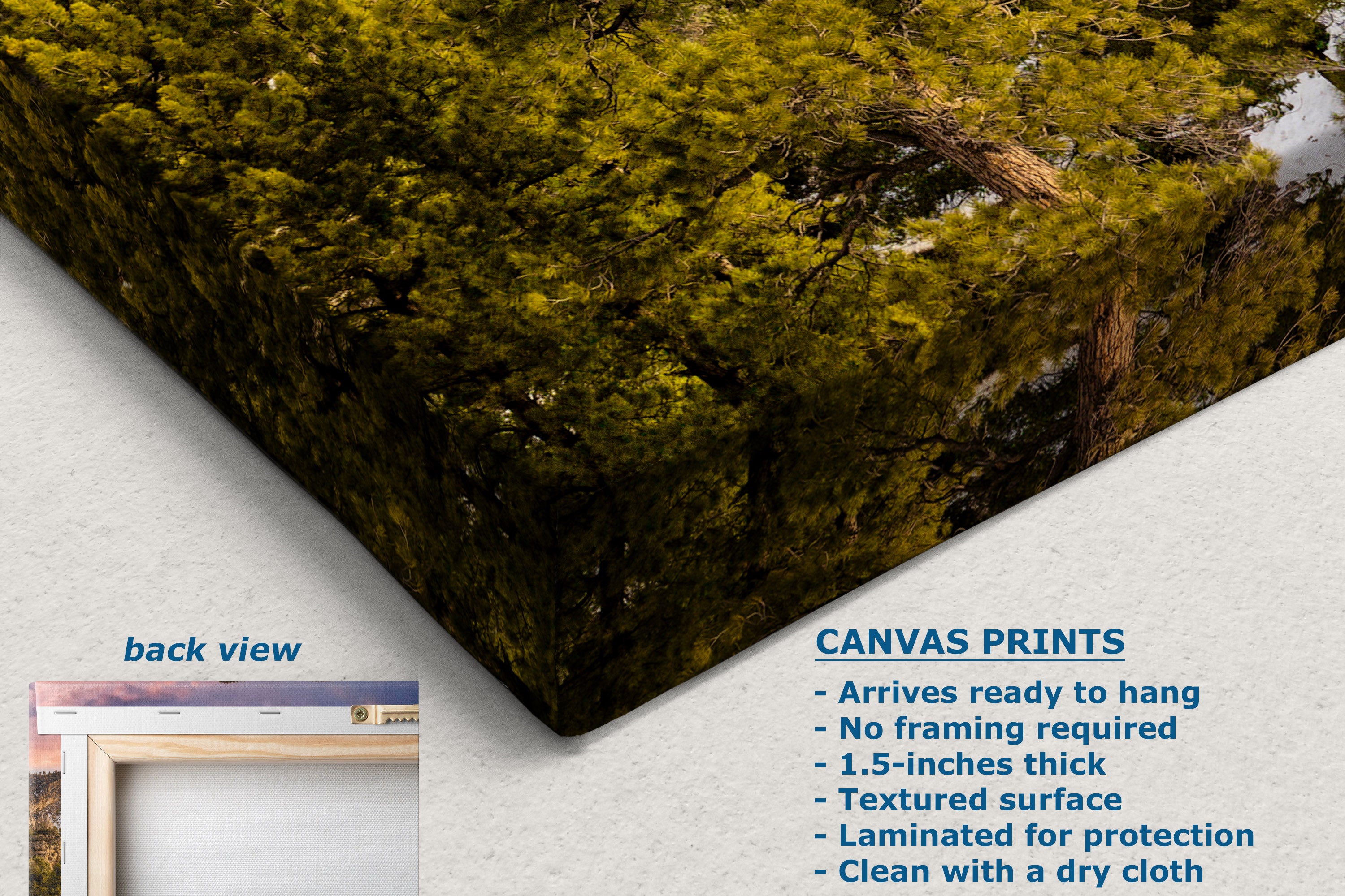A corner view of a canvas wall print shown at an angle on a white background, displaying a textured forest scene with green and yellow foliage. The image includes text detailing the product features ('CANVAS PRINTS') and a small inset showing the back view of the canvas.