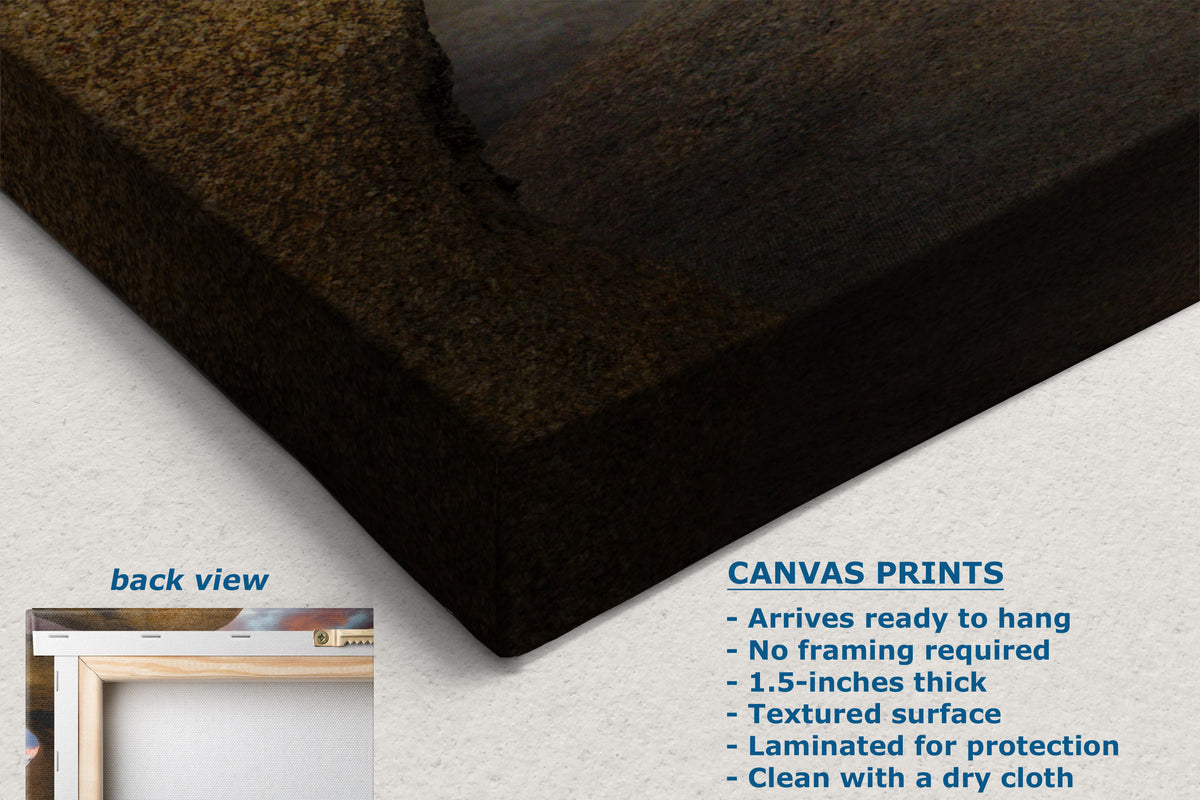 Dark brown textured canvas print shown at an angle with a small inset back view and blue text listing product features on a light background.