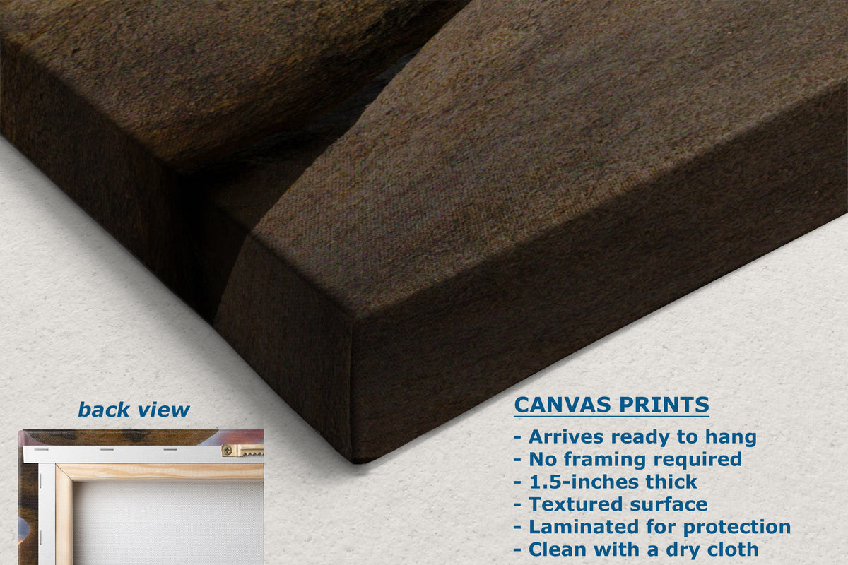 Dark brown textured canvas wall art shown at an angle on a light background, with text describing canvas print features and a small inset labeled back view.