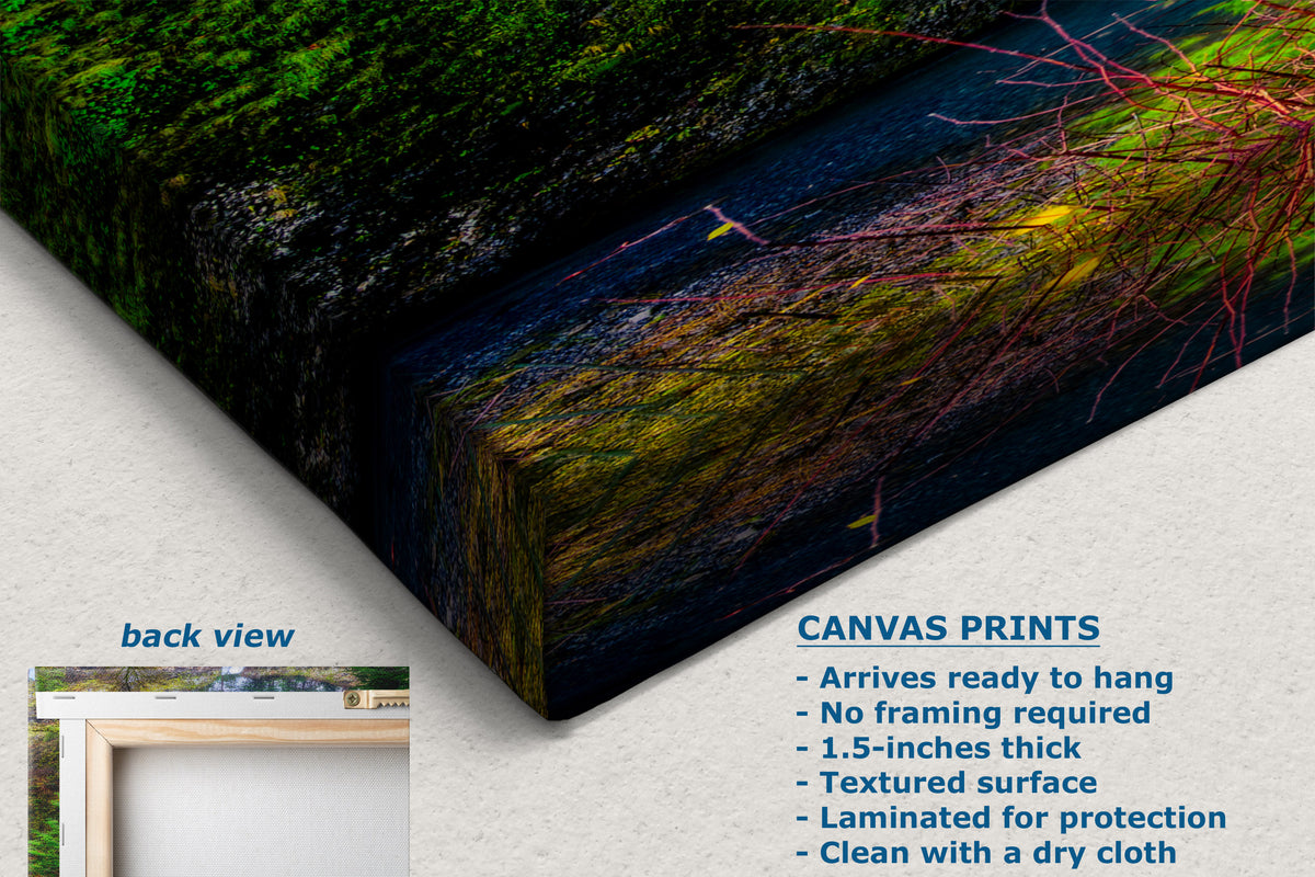 A canvas print product mockup showing a forest stream scene with mossy rocks and red-brown branches, with text listing features and a small inset labeled back view on a white wall.