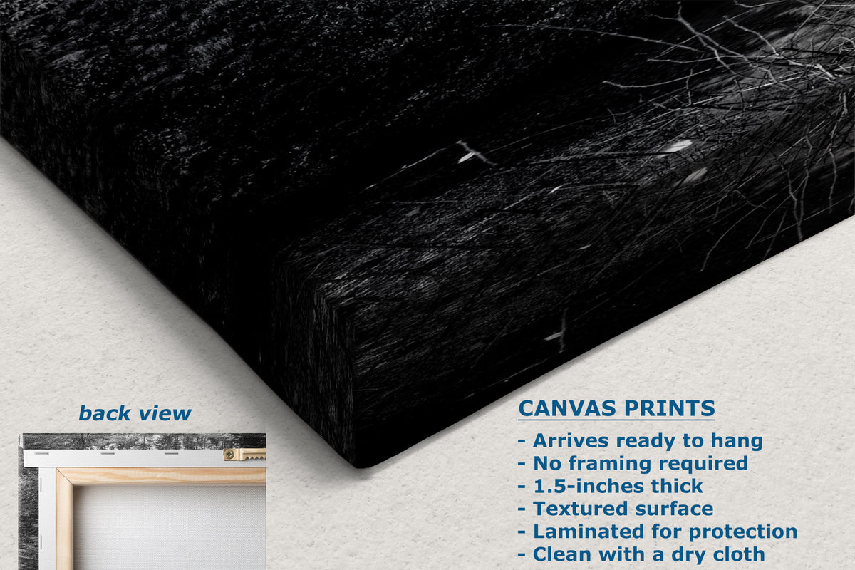 A black canvas wall art print shown at an angle on a light neutral background, with text describing the canvas print features and a small inset showing the back view.