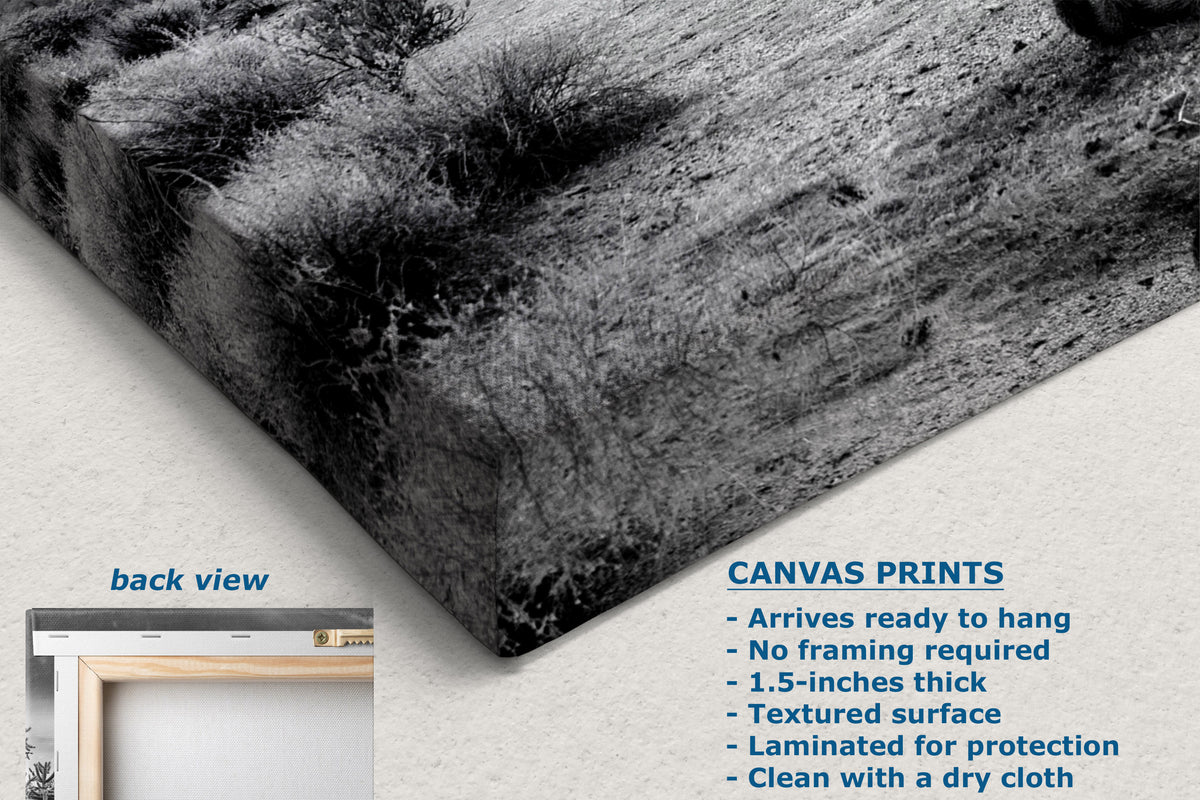 A corner view of a black and white textured canvas print showing a close-up of the front and back views, with text detailing product features and dimensions on a light background.