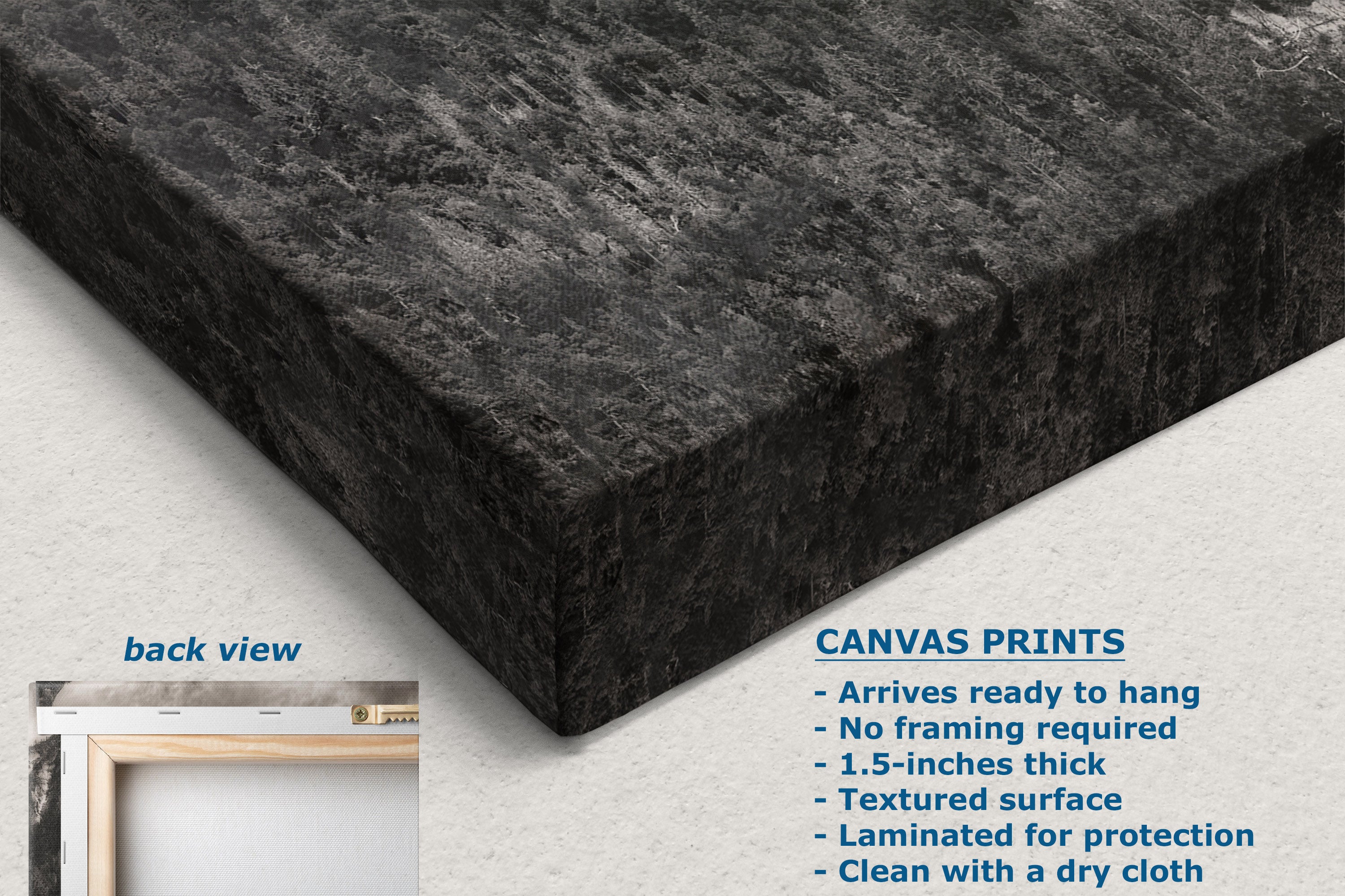 A dark charcoal textured canvas print shown at an angle, with a small inset labeled back view in a frame and text describing canvas print features on a light background.