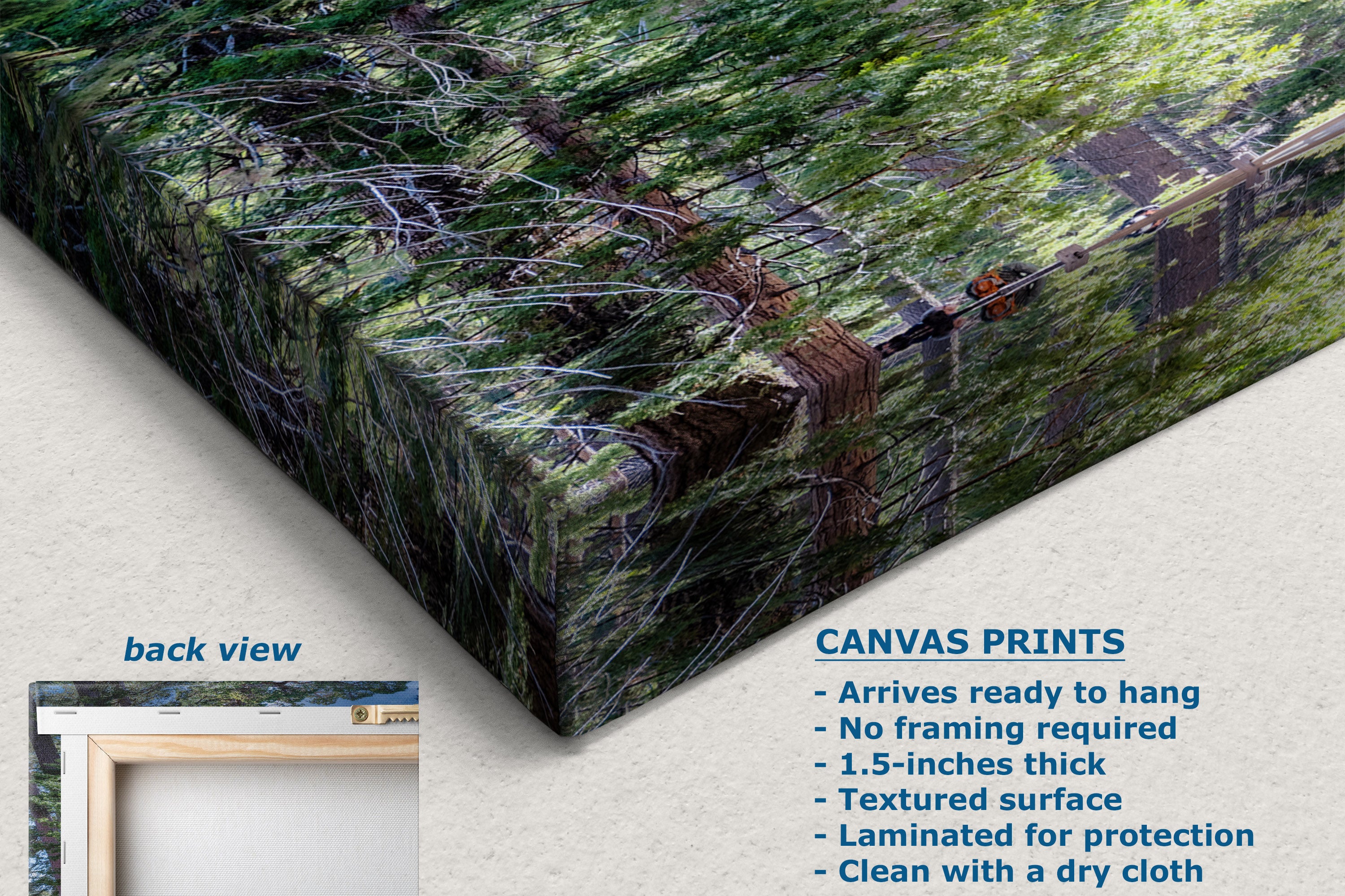 A canvas print product shown at an angle with a forest scene featuring green trees and brown branches. The image includes text describing canvas print features and a small inset labeled back view showing a frameless presentation.