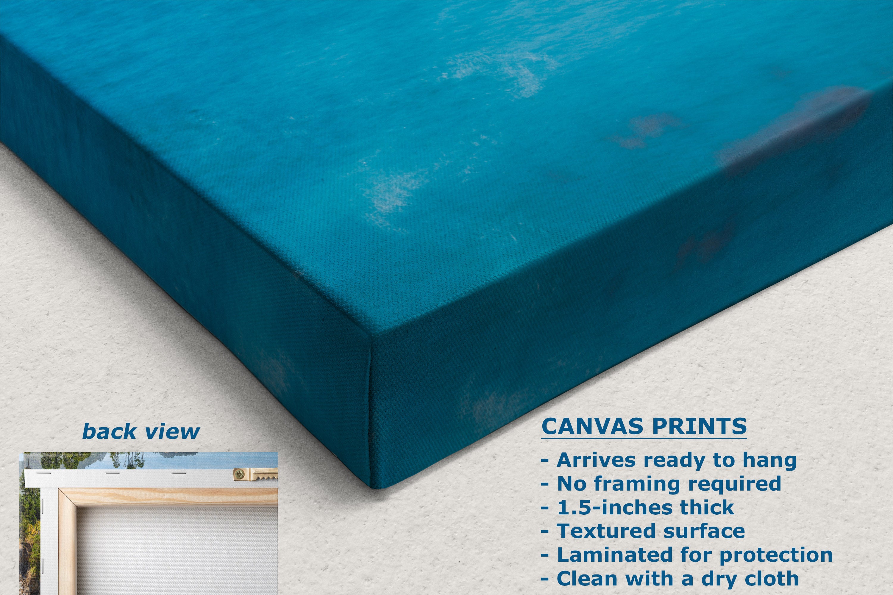 A close-up of a blue canvas wall art print showing the front and side of the canvas, with a small inset labeled back view in the lower left and product feature text on the right.