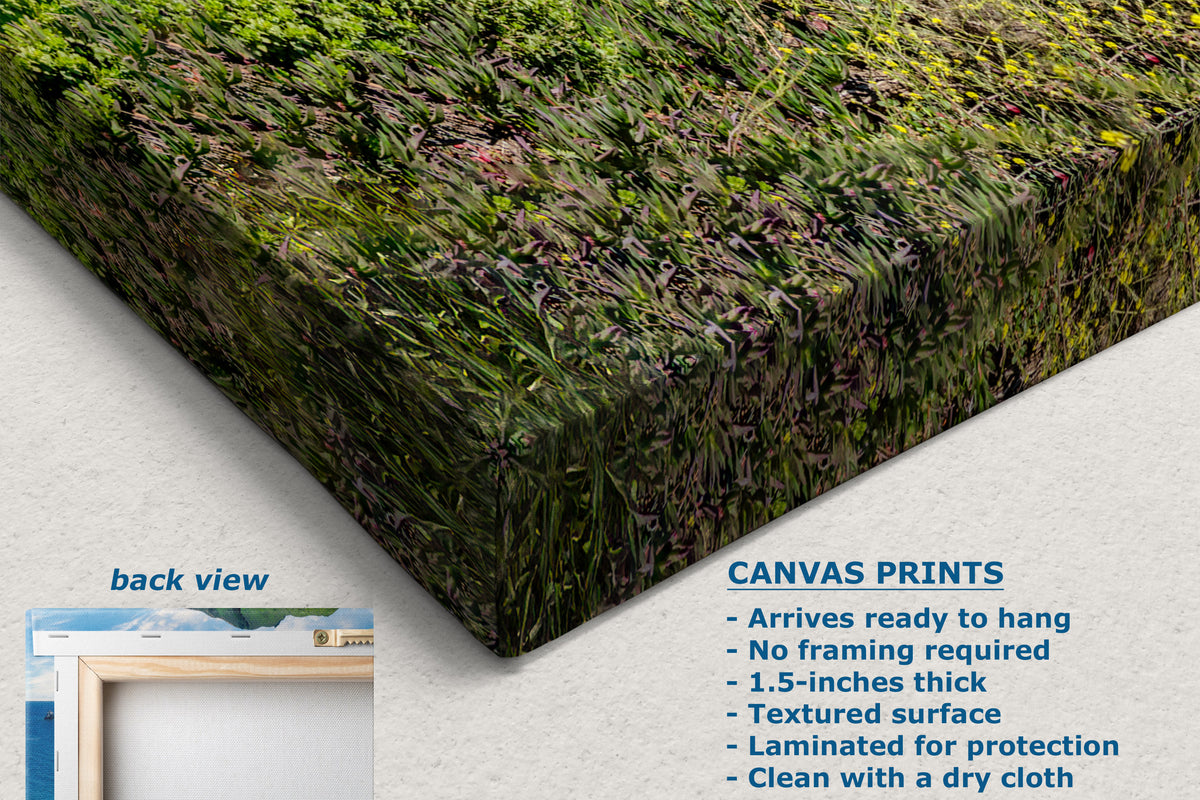 A canvas wall art print shown at an angle, featuring a textured green and brown botanical pattern. The image includes a text overlay detailing product features for canvas prints and a small inset showing the back view with a white mounting strip and wooden frame.