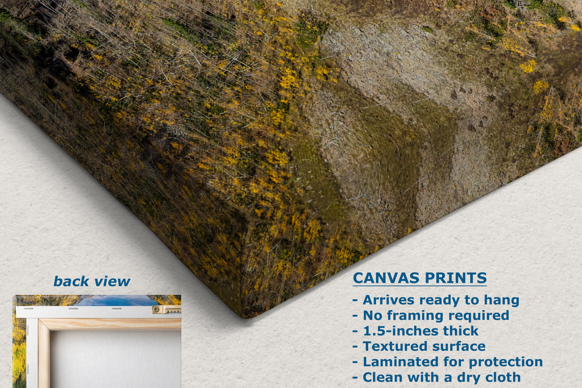 A corner view of a canvas wall art print shown at an angle on a white textured background, with a small inset labeled back view and text describing canvas print features and dimensions.