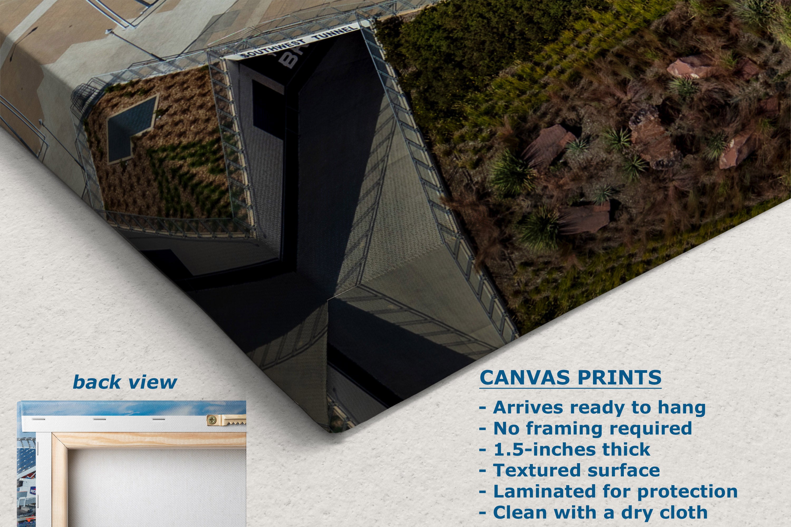 A corner view of a canvas print product shown at an angle on a light background, with text describing canvas prints and a small inset labeled back view. The print features a textured photographic scene with dark blue sky, brown earth, and green vegetation.