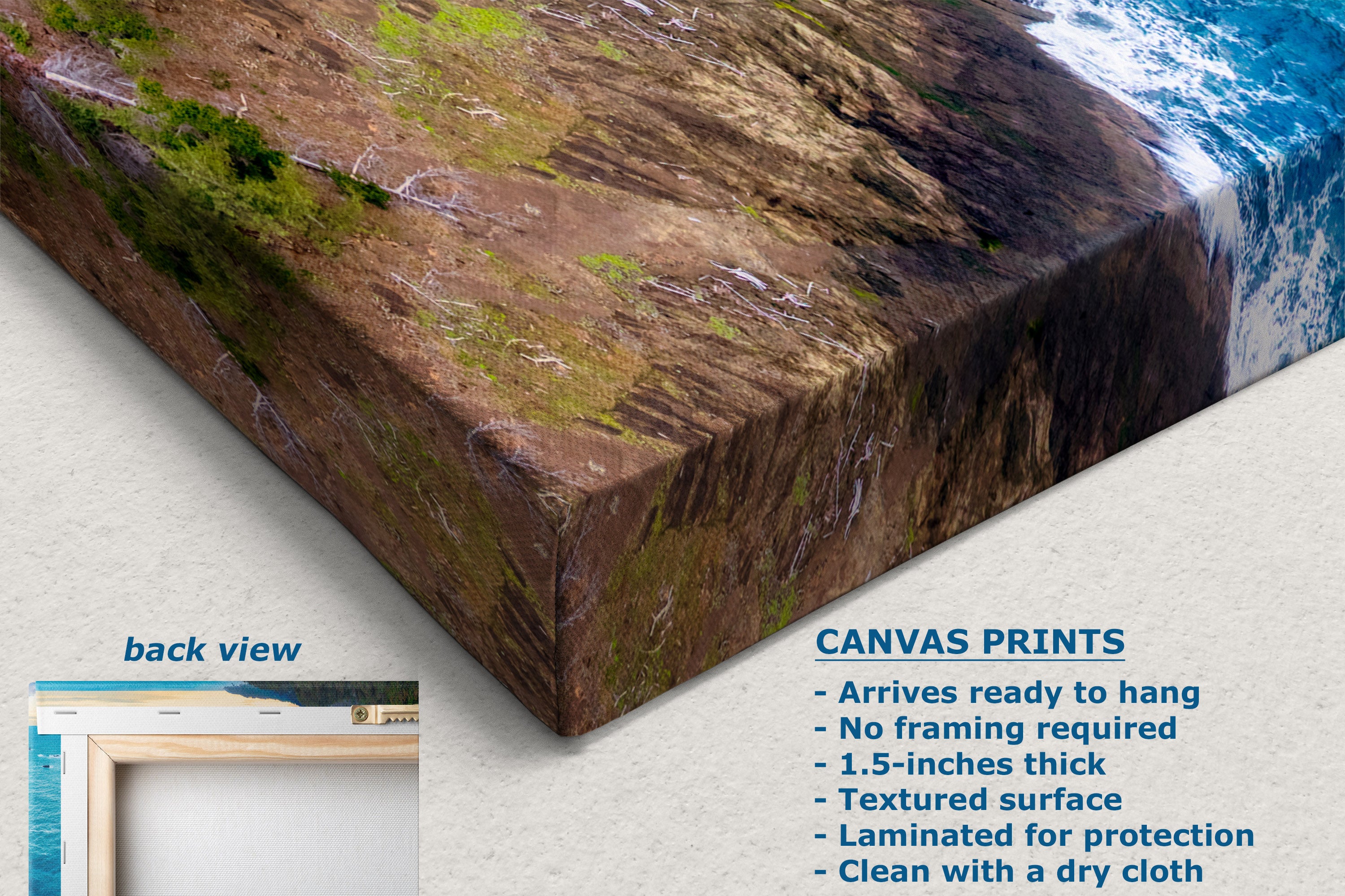 Canvas wall art print showing a dramatic rocky cliffside with green moss and blue ocean water, displayed at an angle on a light neutral background with text describing the print features and a small back-view inset.
