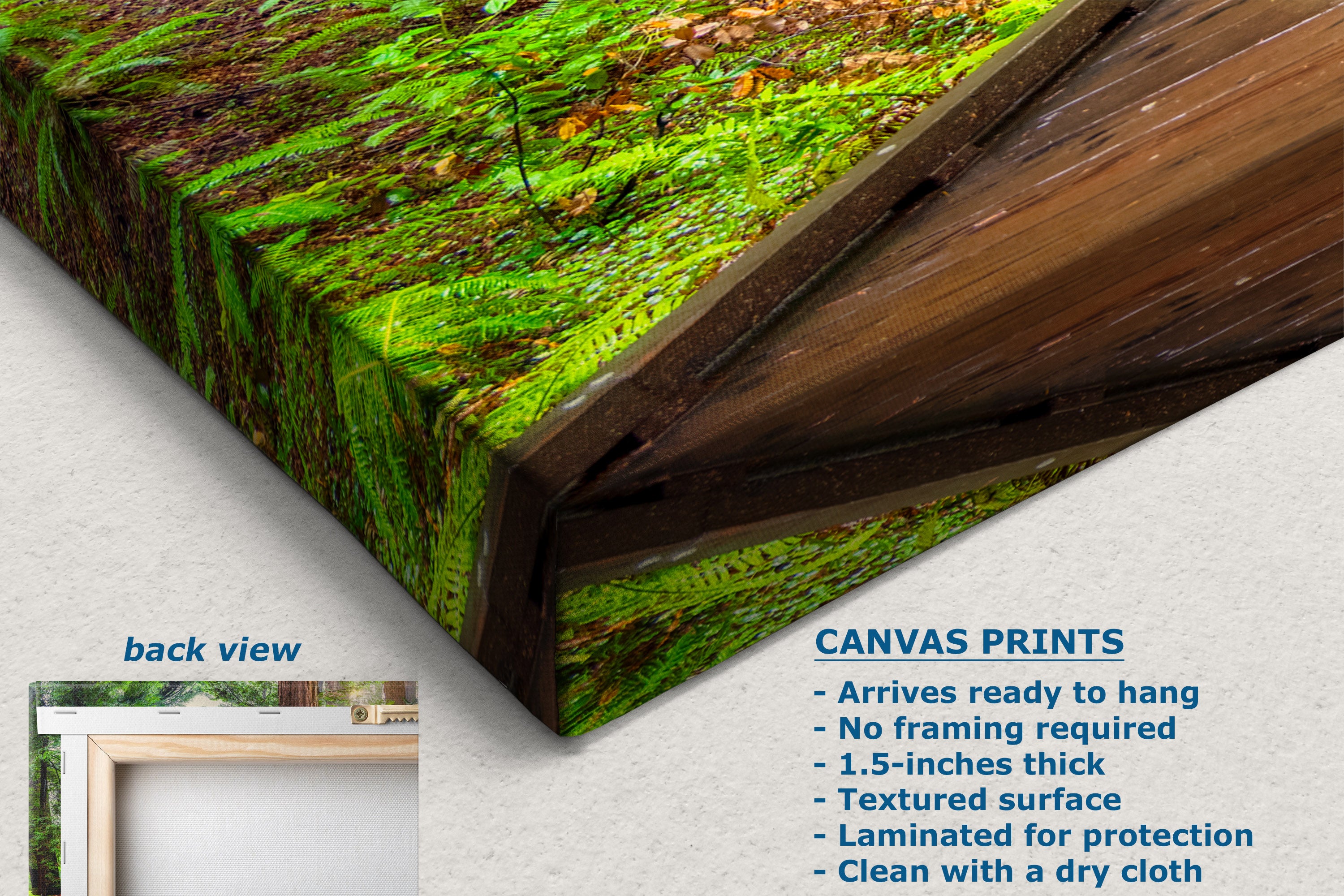 A canvas wall art print showing a close-up forest floor scene with bright green ferns and brown tree trunks, displayed at an angle on a light wall. Text on the image describes the print features and includes a small inset labeled back view.