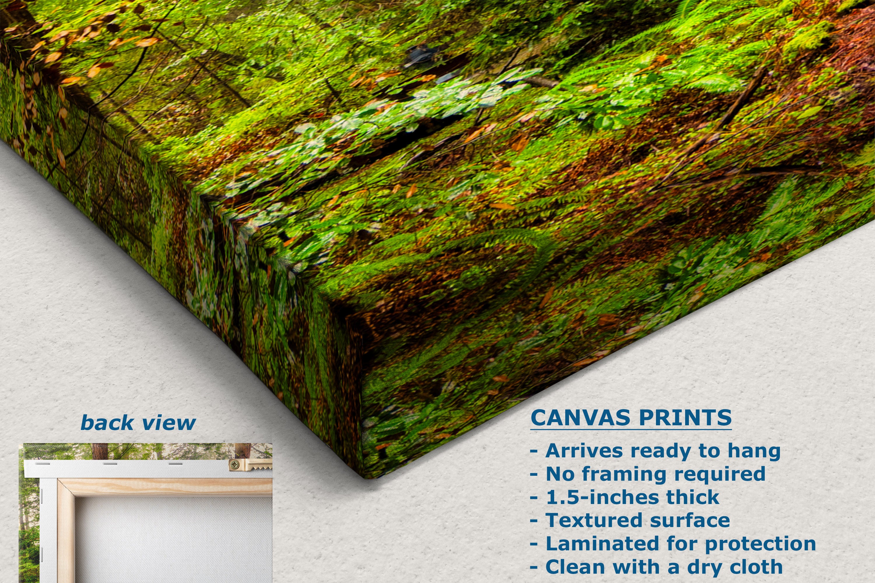 A canvas wall art print showing a close-up of a mossy green forest floor, displayed at an angle on a light gray background. The image includes a 'back view' inset showing a white frame, and a text box detailing product features such as 'CANVAS PRINTS' and dimensions.