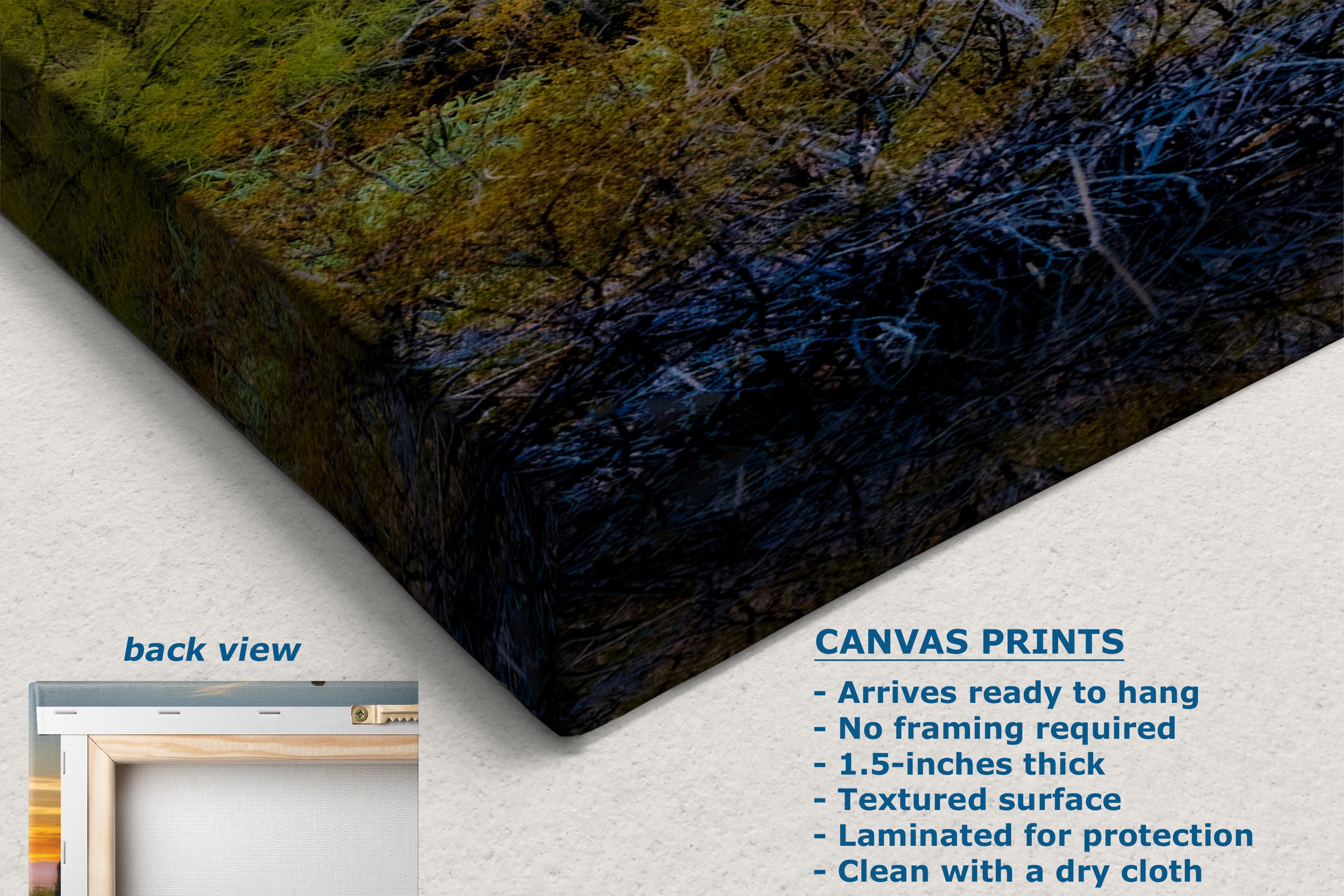Canvas wall art print shown at an angle with a textured forest scene, plus a small inset labeled back view and text describing the print features on a light background.