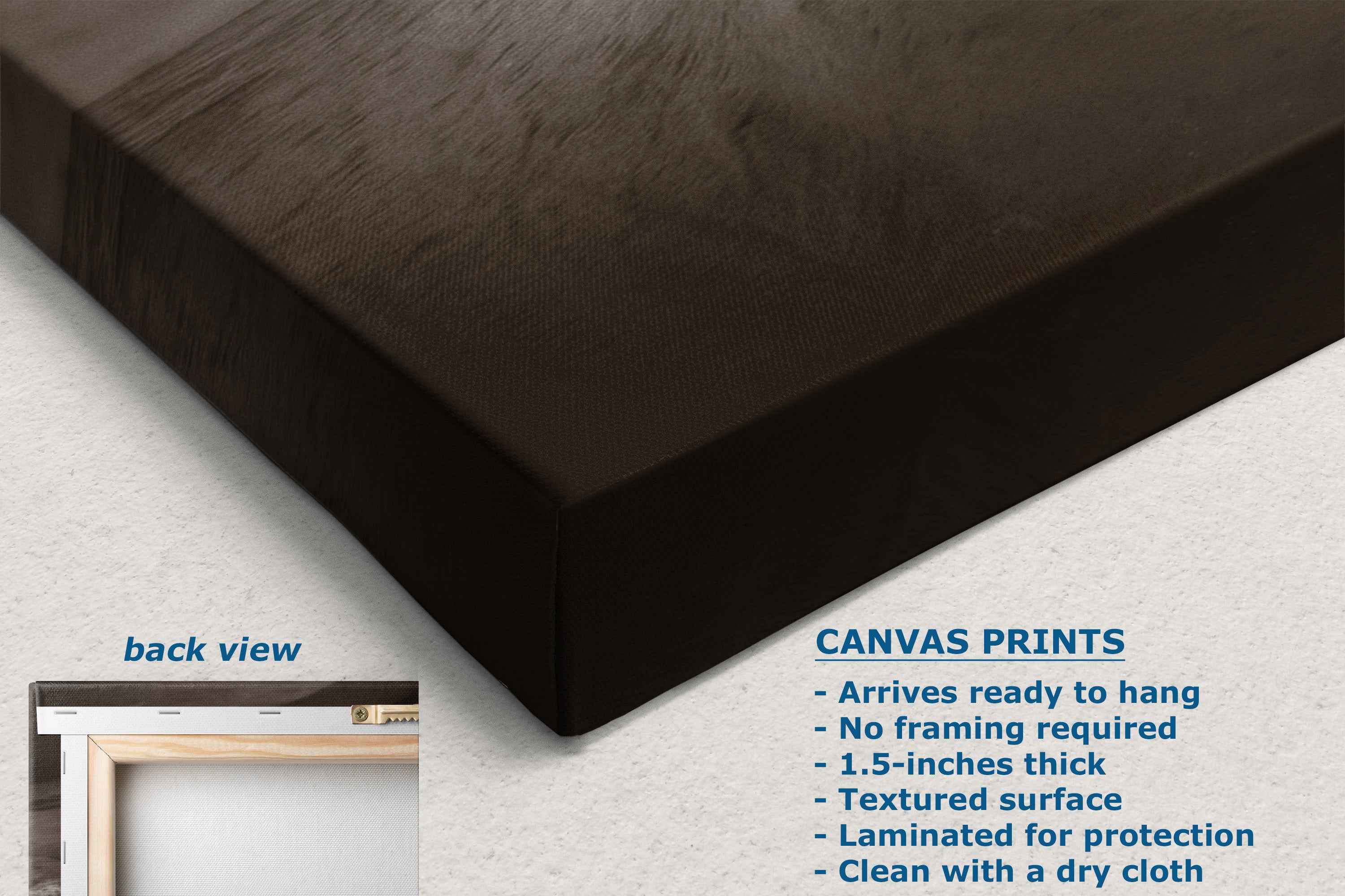 Dark brown canvas wall art shown at an angle with a textured surface, alongside a small inset labeled back view and text describing canvas print features.