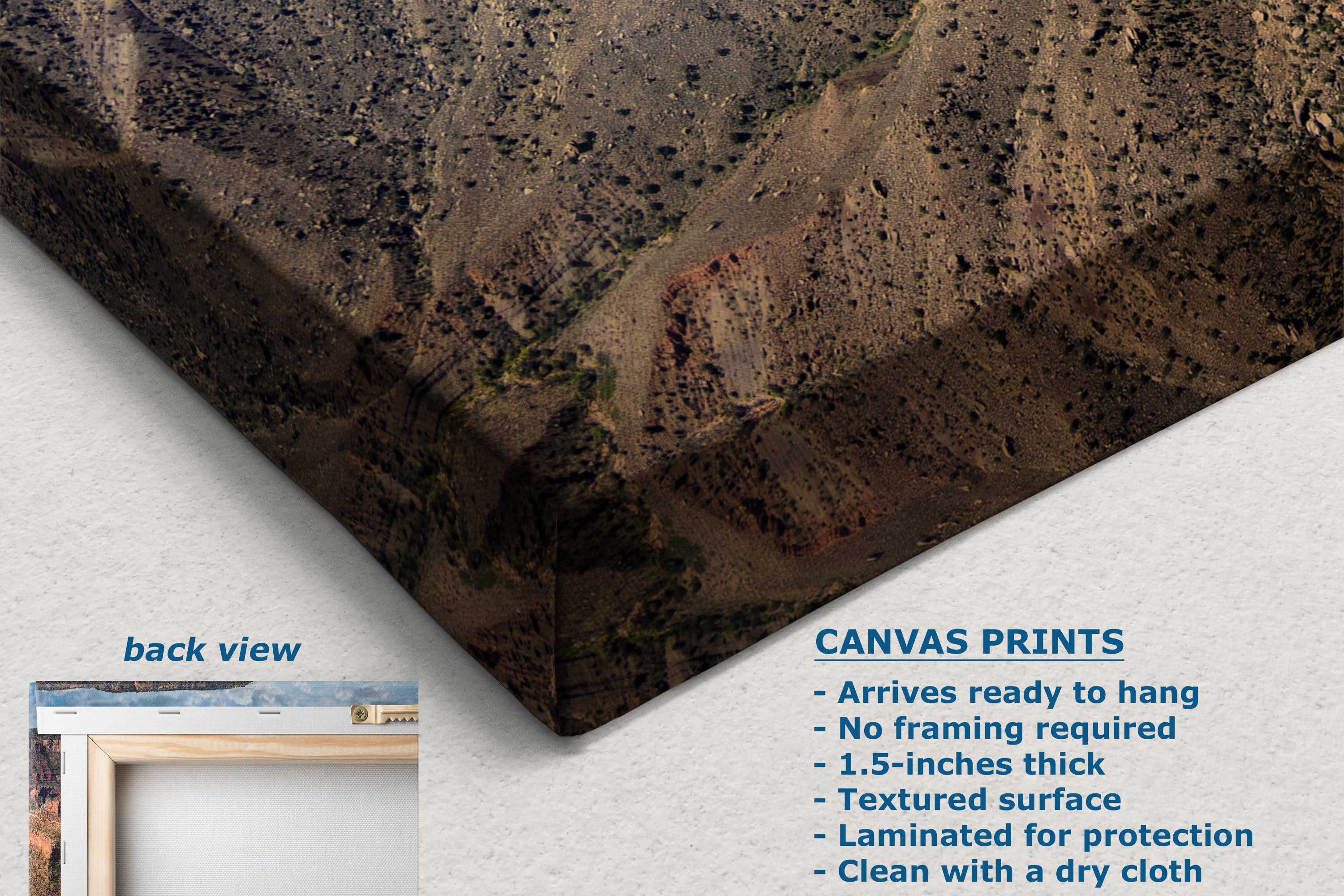 A canvas print product shown at an angle on a light wall, with a small inset labeled 'back view' and text describing canvas print features. The visible product surface shows a desert canyon landscape print in earthy brown, tan, and muted green tones.
