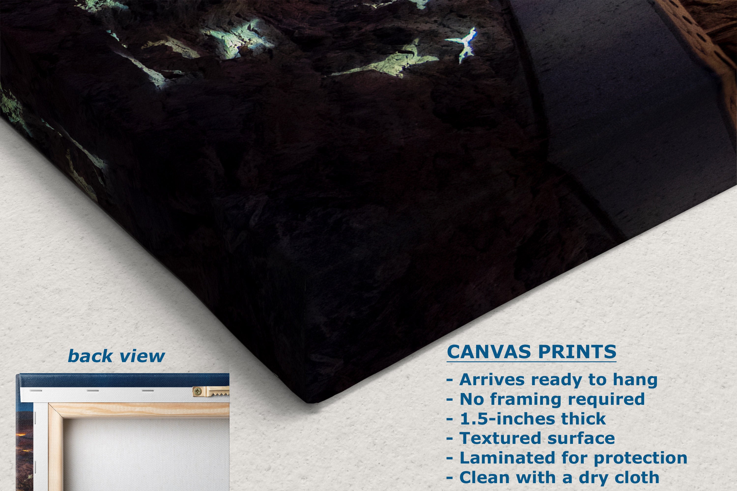 A canvas wall art print shown at an angle on a light textured background, with text describing the print features and a small inset labeled back view showing the framed edge.
