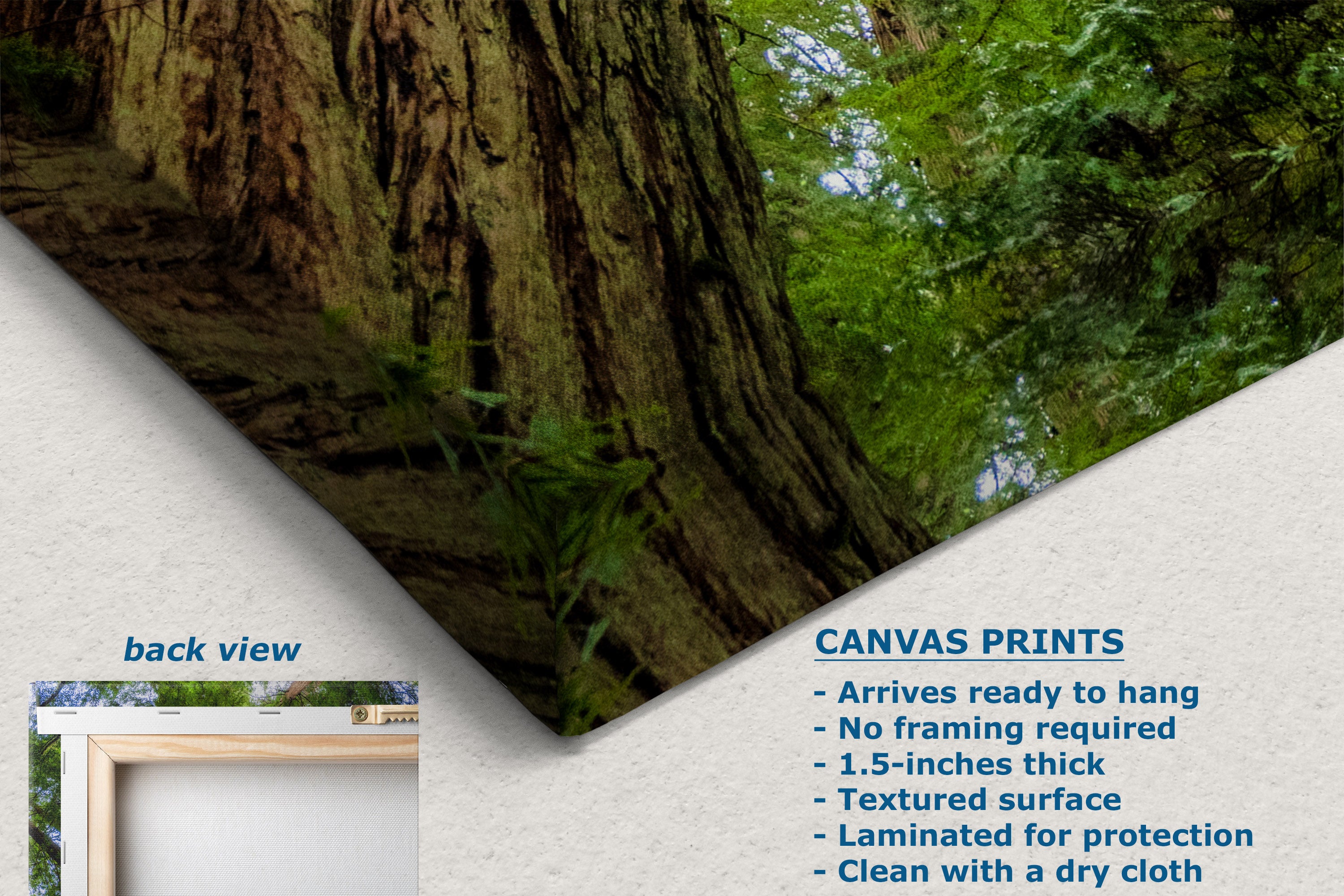 A canvas print product mockup showing a forest scene with a large tree trunk and green foliage, presented on a textured white background with text describing the print features and a small inset labeled back view.