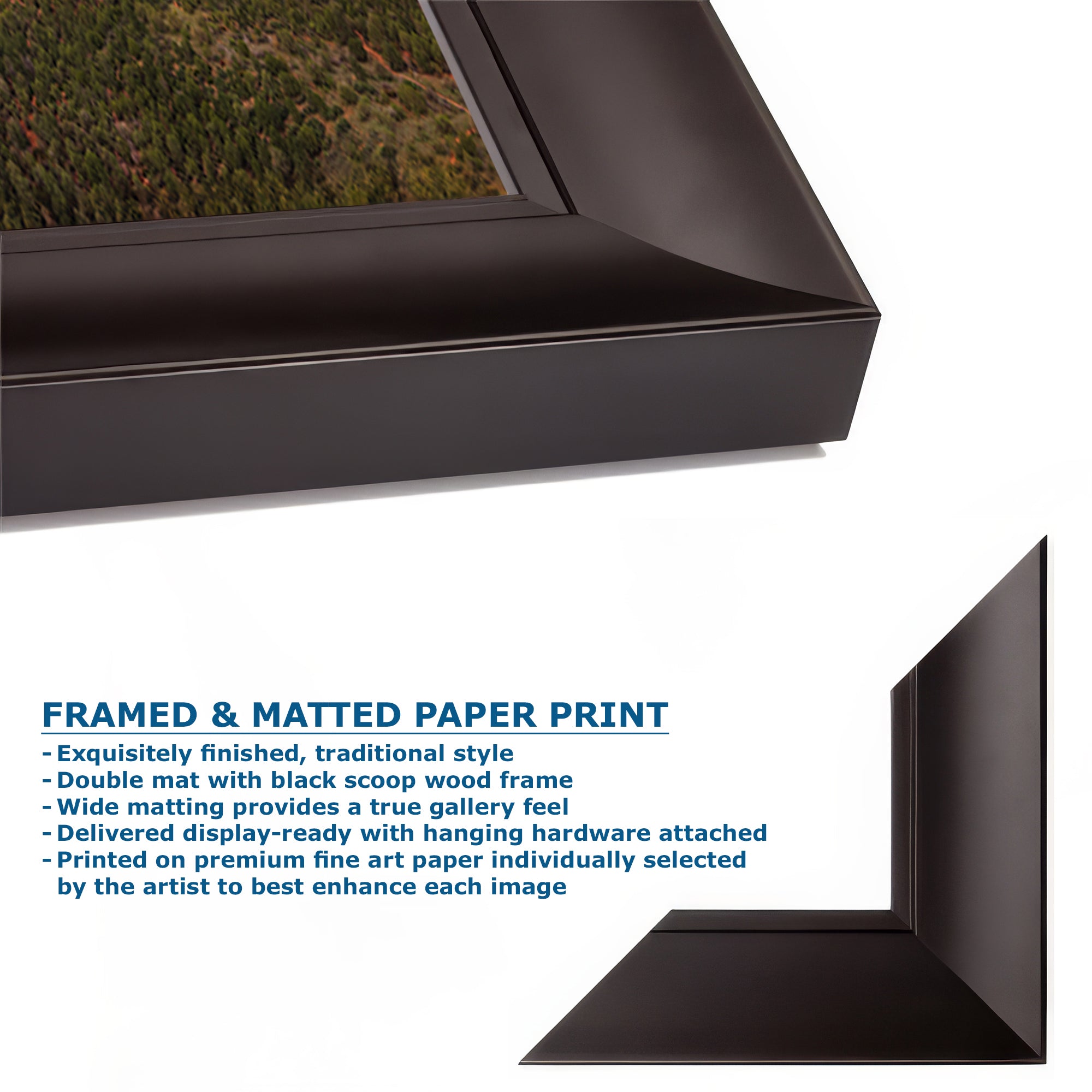 Courthouse Butte & Bell Rock Sedona Arizona Desert Picture, Southwestern Wall Art, Red Rock Scenic Nature Photo, House Decor Gift