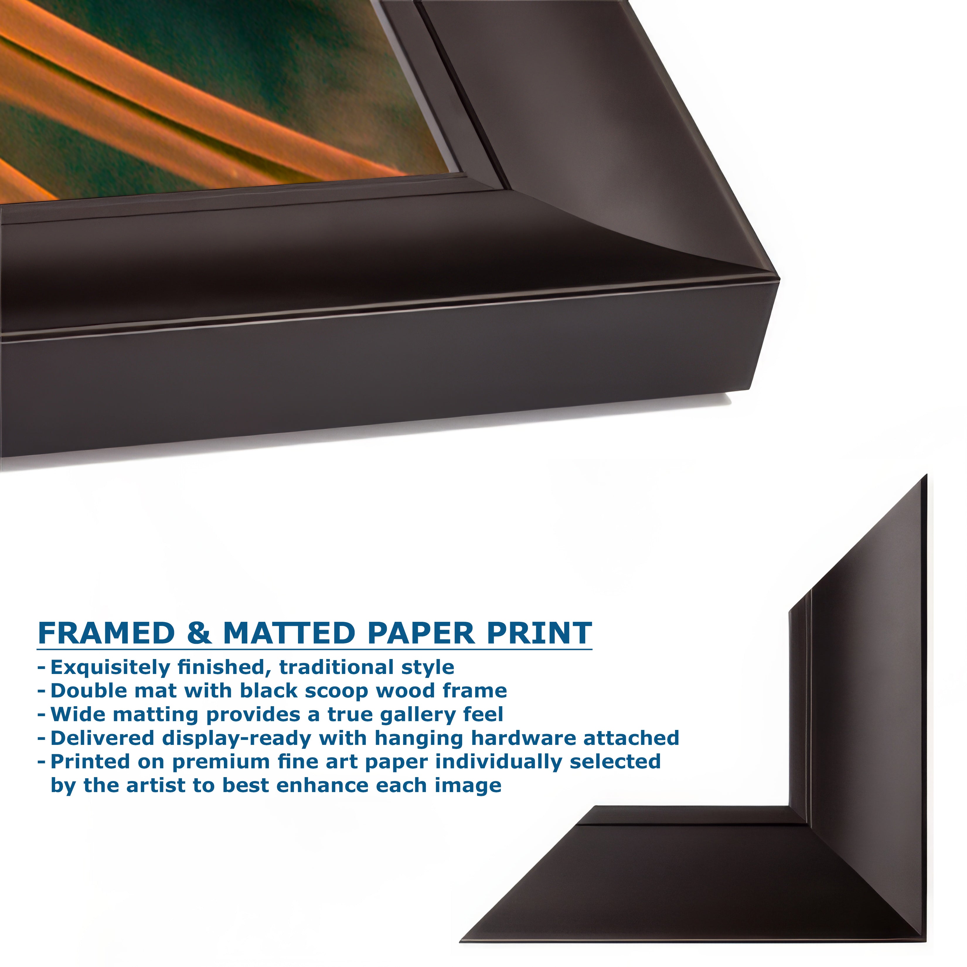 Sea Anemone Picture Ocean Life Underwater Scenery Nature Photo, Marine Biology Wall Art, Vibrant Coral Reef, Gift for Ocean Lover