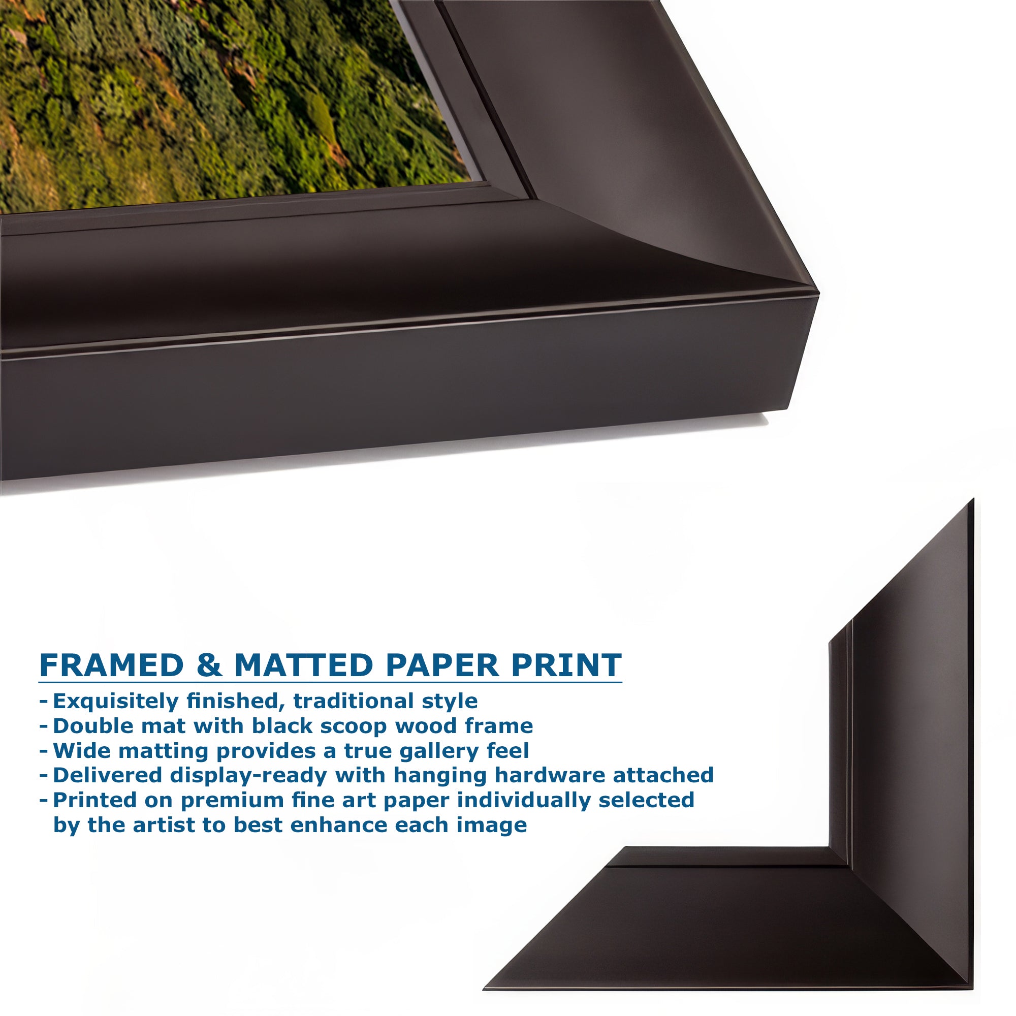 Chapel of the Holy Cross Sedona Arizona Desert Picture, Southwestern Nature Photo, Church and Canyon Photography