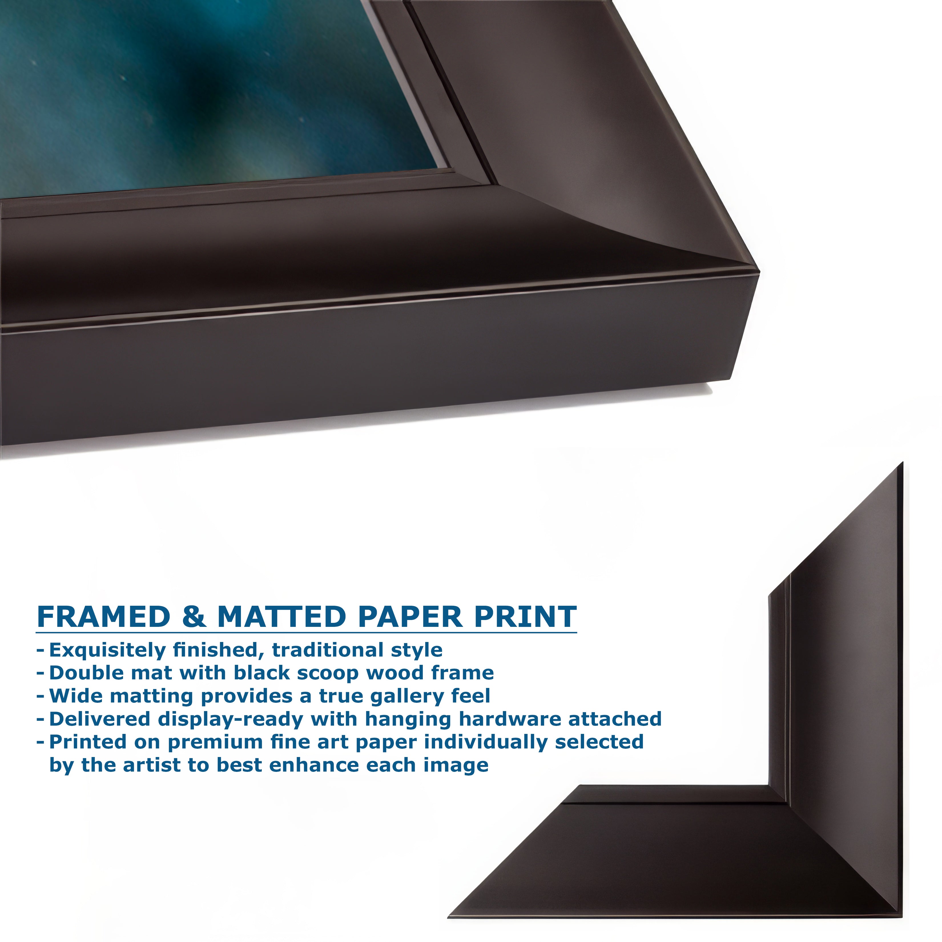 Garibaldi Fish Marine Biology Ocean Life, Underwater Scenery Nature Photo, California Marine Inhabitant, Nature Decor, Relaxation Artwork