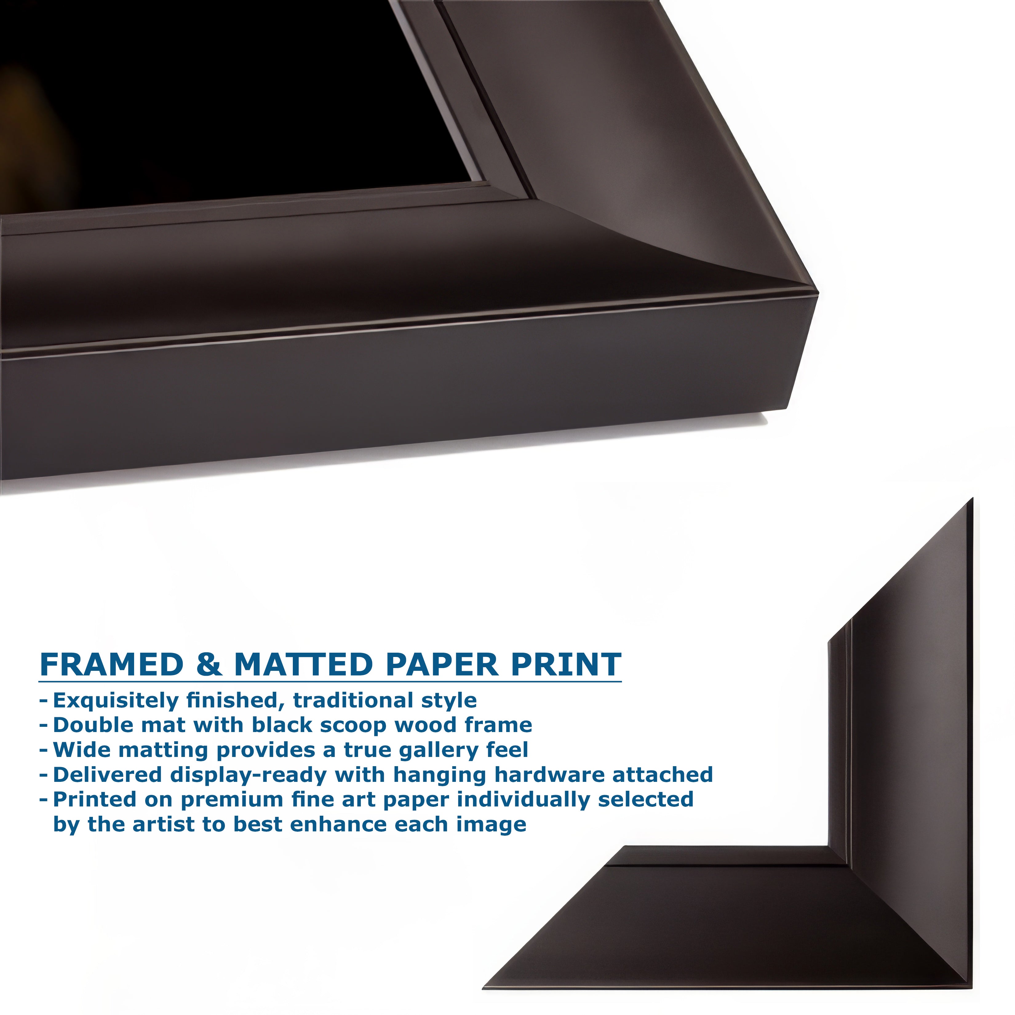 Hermissenda Opalescent Nudibranch Ocean Life Underwater Scenery Marine Biology Nature Photo