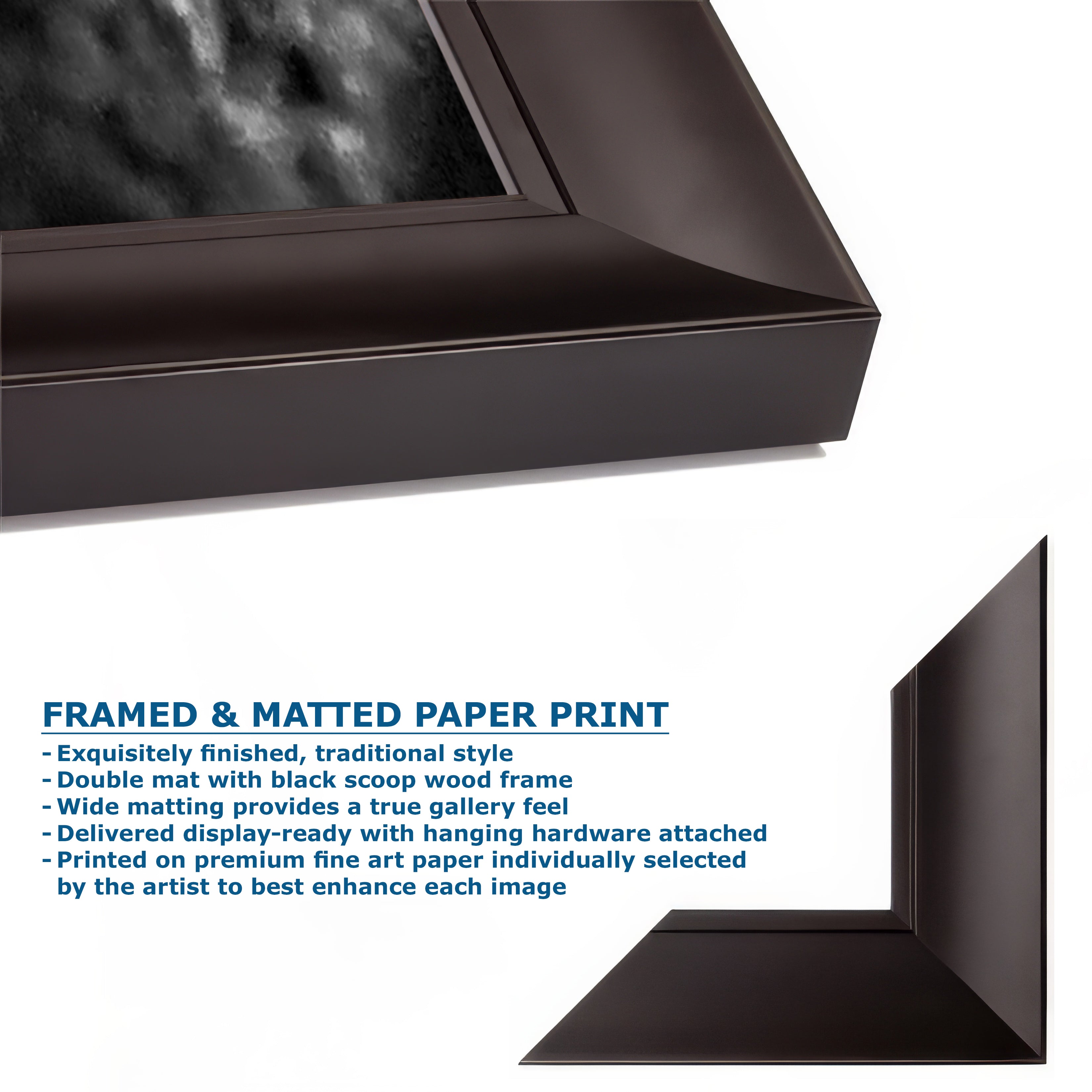 Sea Anemone Picture Ocean Life Underwater Scenery Nature Photo, Marine Biology Decor, Black and White Coral Reef Art for Marine Enthusiasts