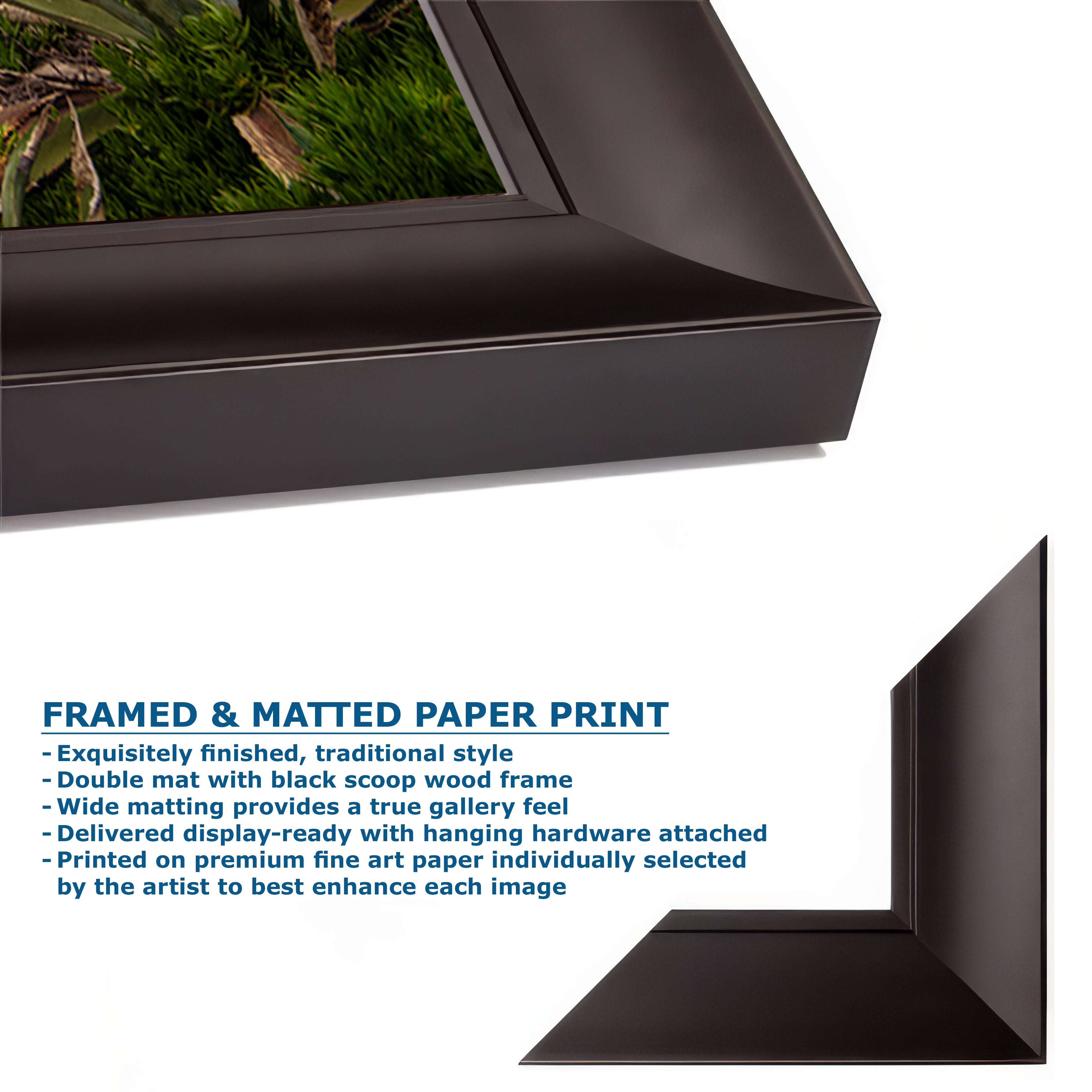 California Sea Lion Marine Mammal Wildlife Photography | Calming Nature Ocean Picture, Relaxation Artwork, La Jolla Coast, Nature Photo