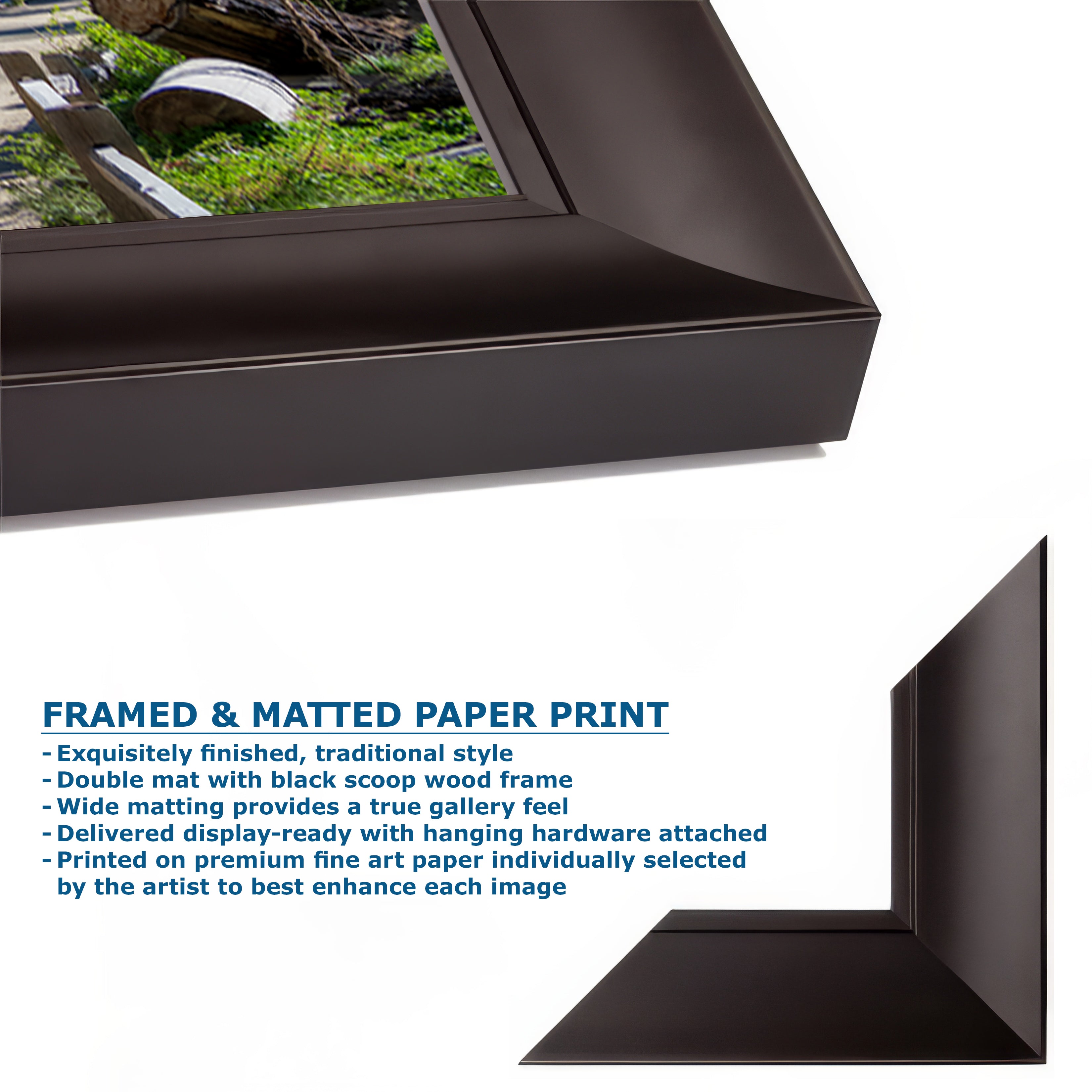 Giant Sequoia Tree Forest Picture Nature Photo, Redwood Trees Forest Bathing Decor, Relaxation Artwork for Home or Office