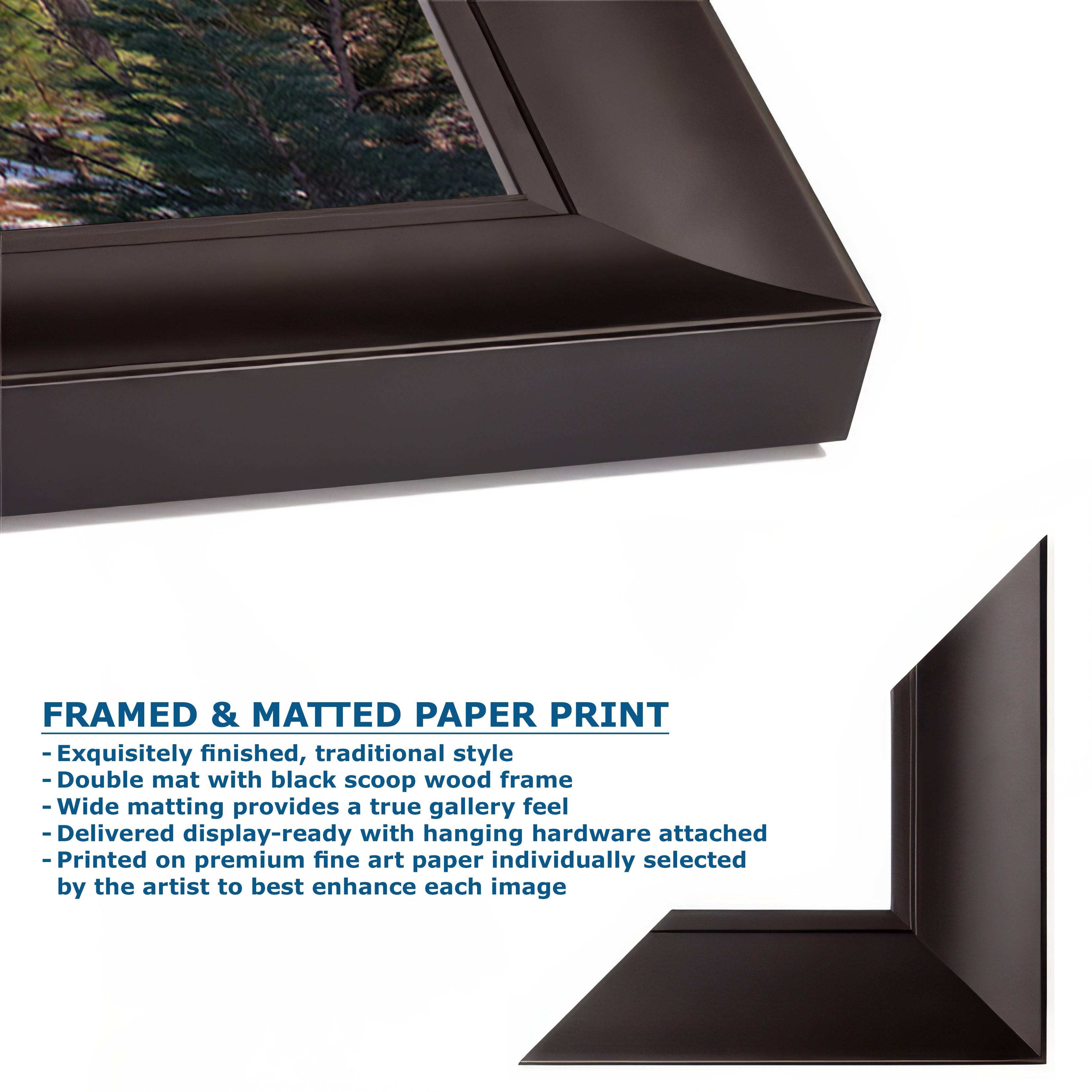 Giant Sequoia Tree Art, Redwood Forest Picture, Nature Photo Inspired Wall Decor