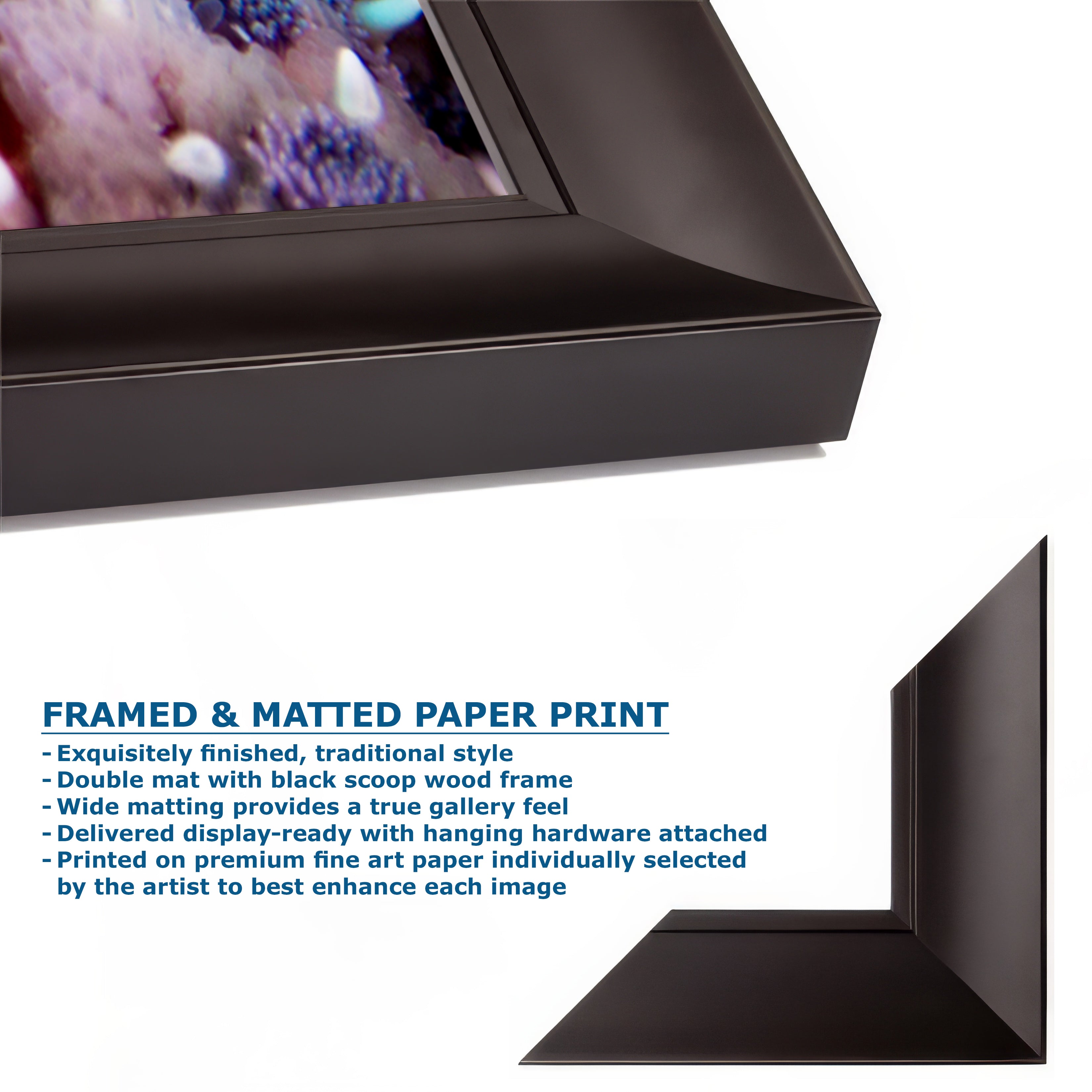 Ocean Life Starfish Photo, Marine Biology Underwater Scenery, Vibrant Coral Reef, Nature Photography for Office Decor, Relaxation Artwork