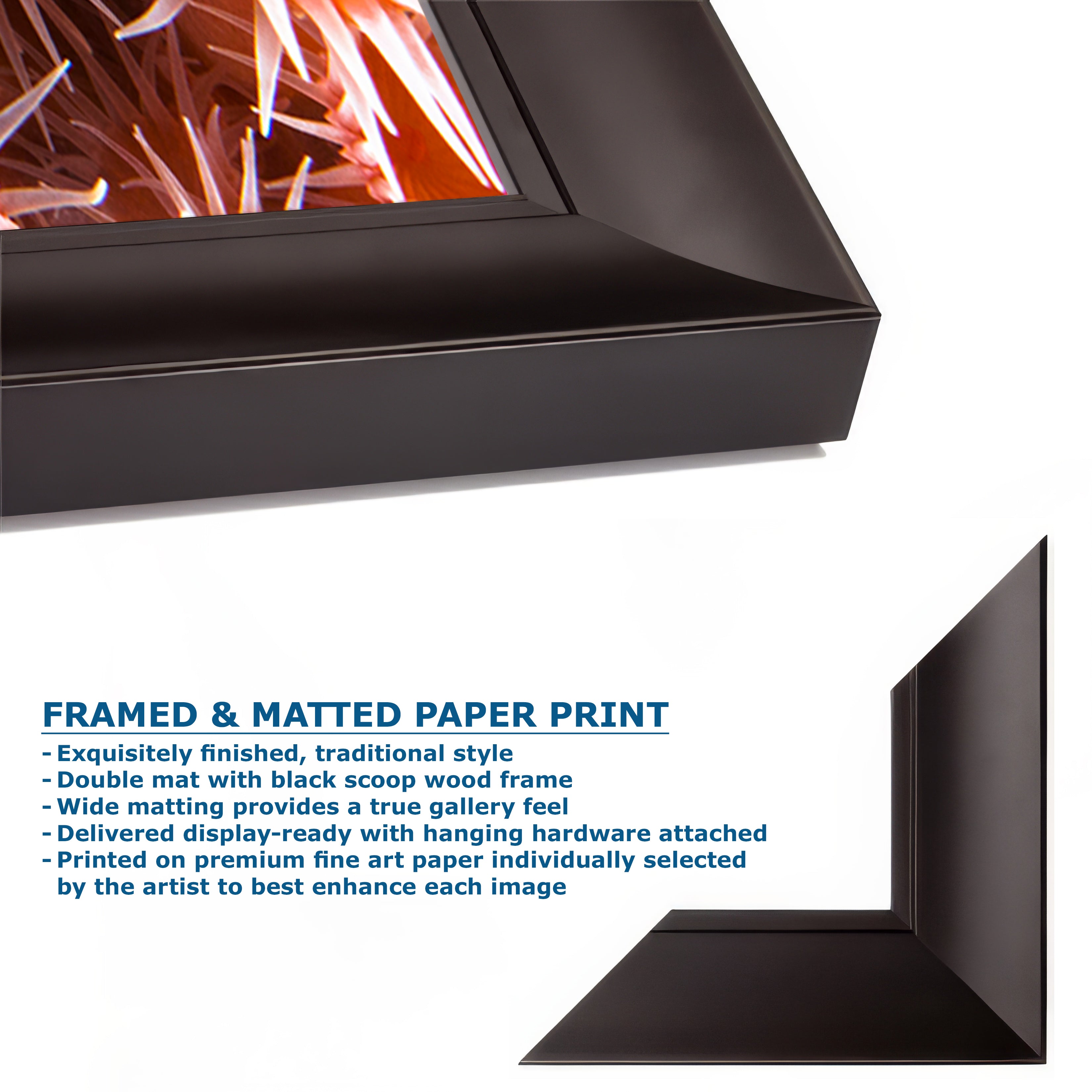 Sea Anemone Picture Ocean Life Underwater Scenery Nature Photo, Marine Biology Wall Art, Vibrant Orange Zoanthid Coral Reef, Ocean Decor