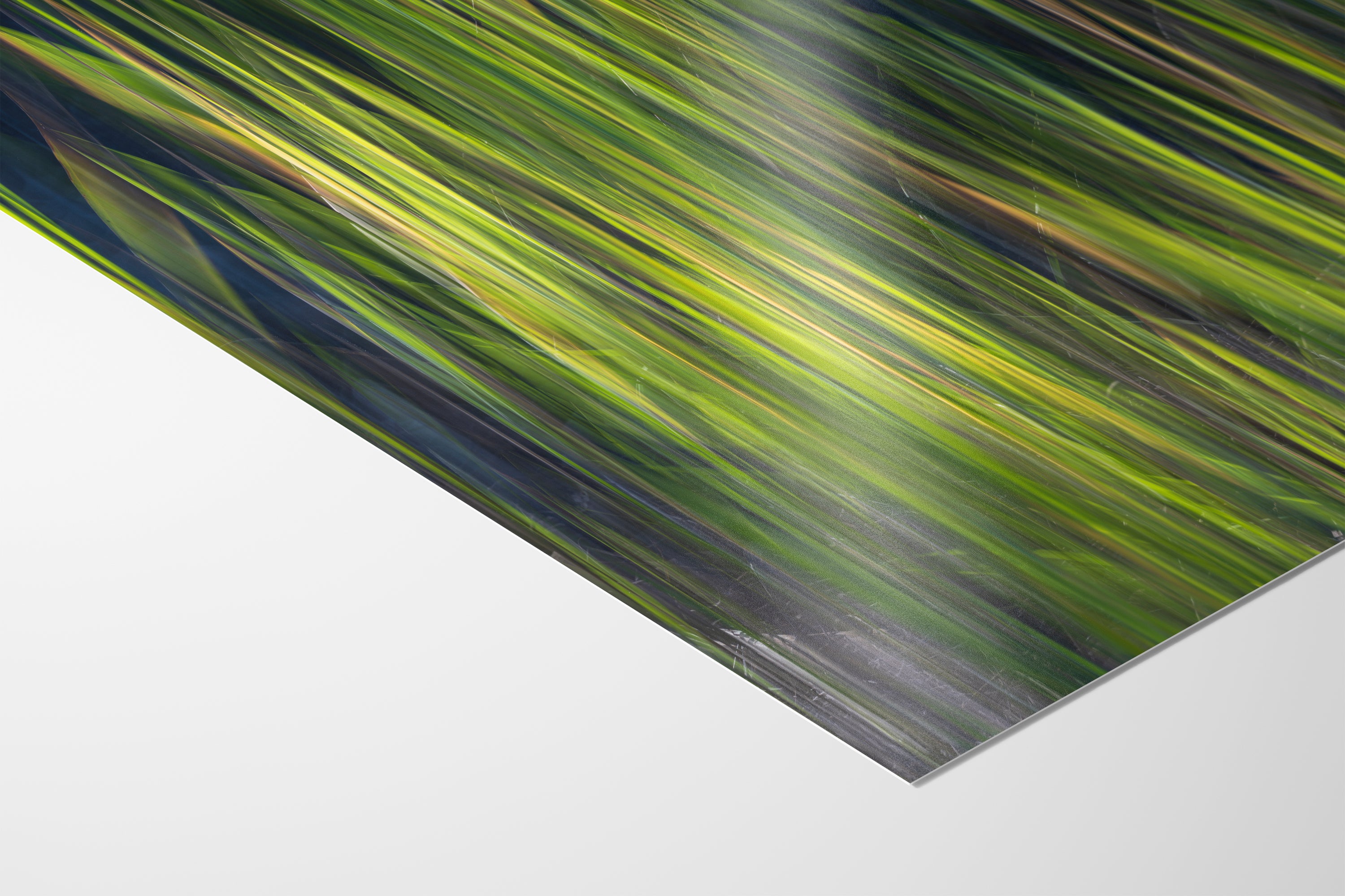 Sage Green Abstract Art Nature Photo