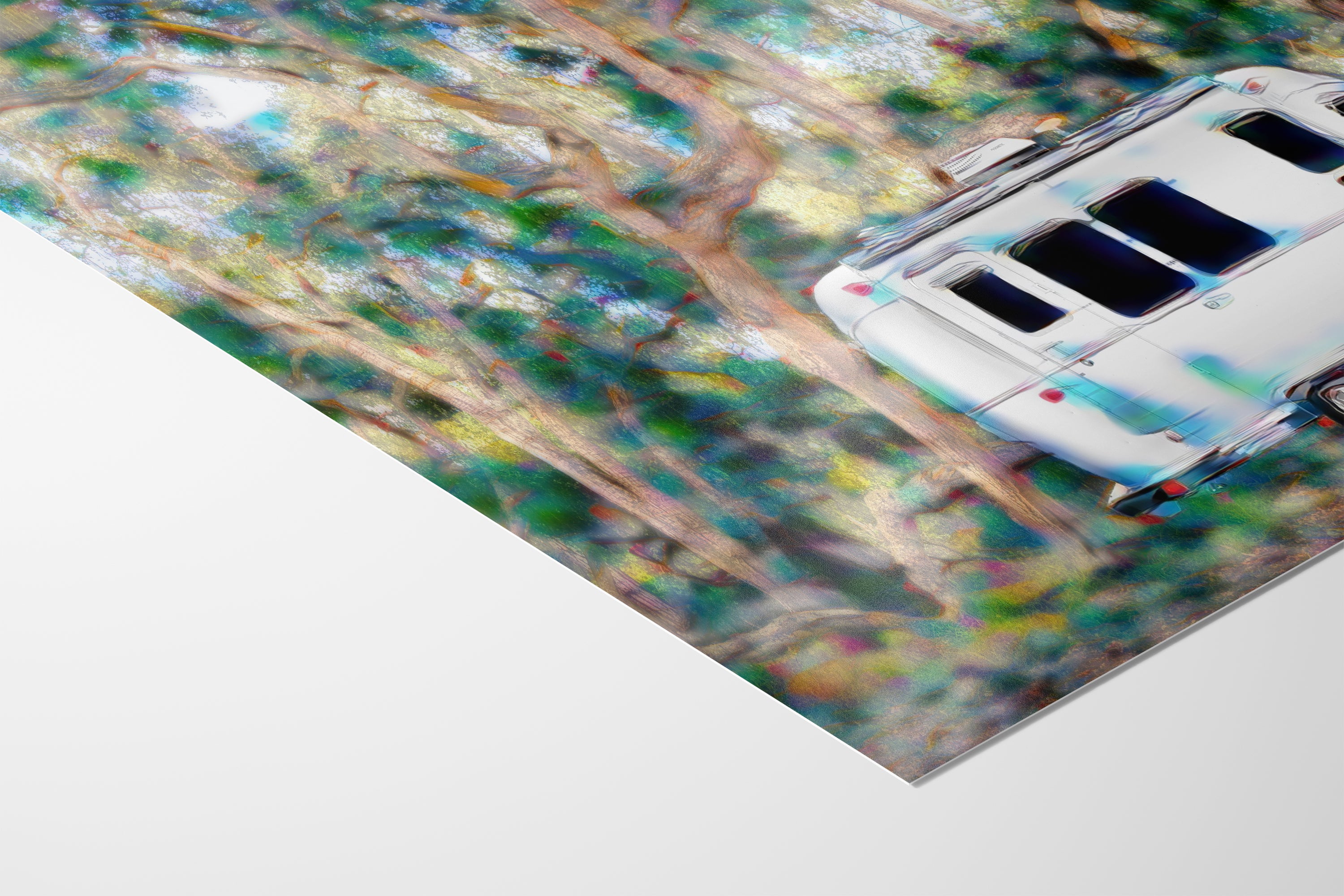 Airstream with Coast Live Oak Camping Decor