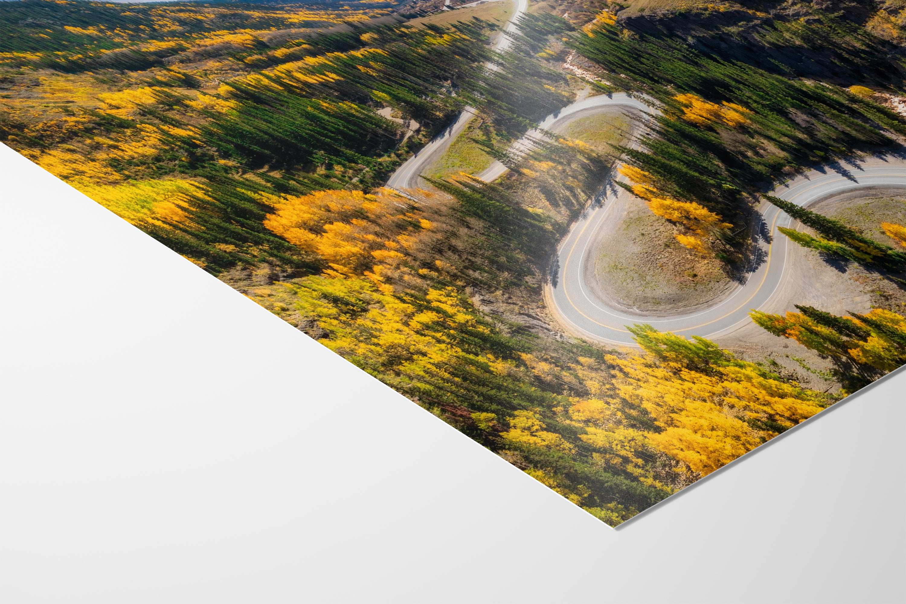 Colorado San Juan Mountain Picture, Fall Colors Aspen Trees Forest, Million Dollar Highway Nature Photo for Relaxation Artwork, Meditation and House Decor