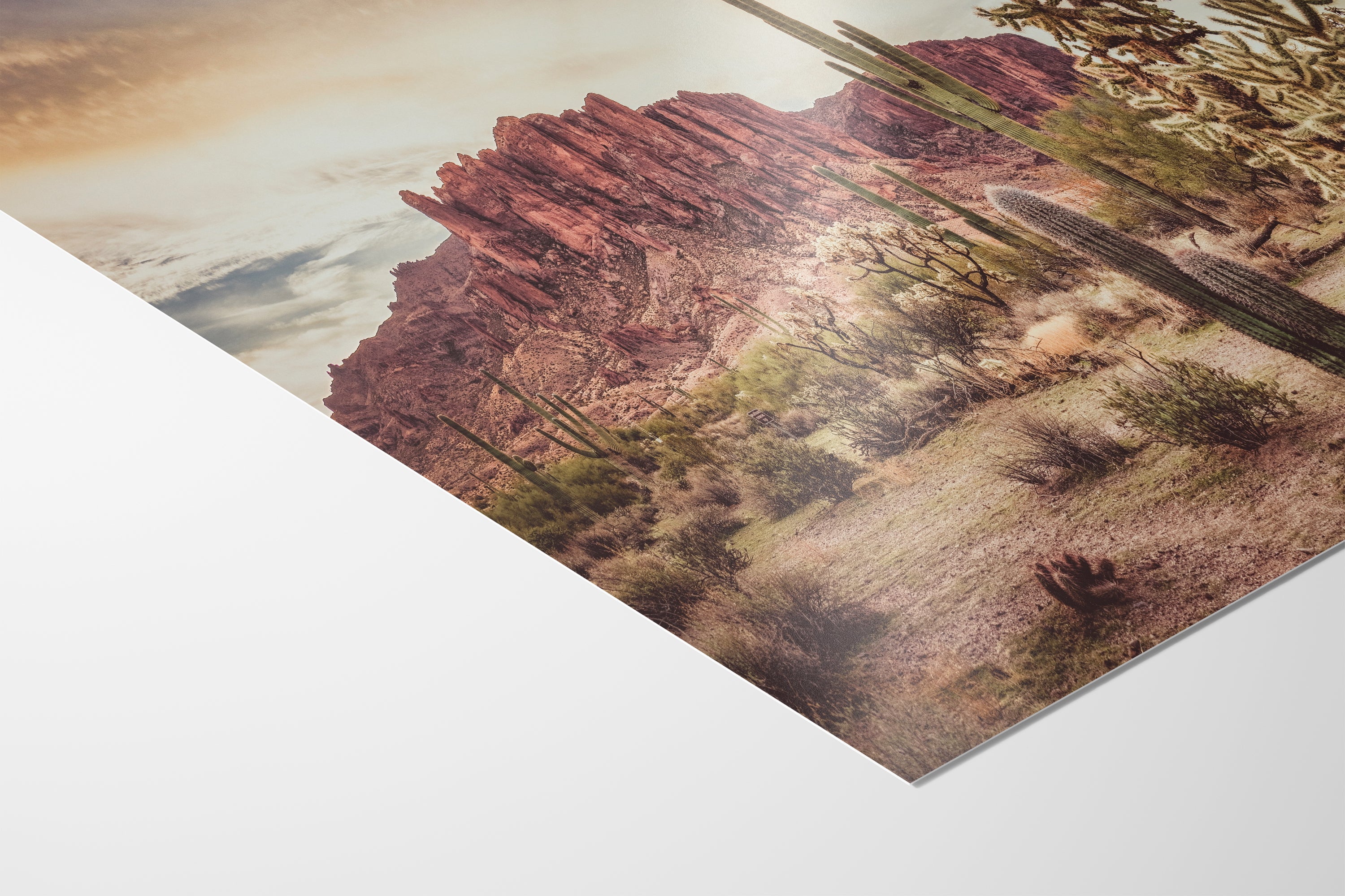 Arizona Desert Picture, Vintage Saguaro Cactus Artwork Nature Photo, Southwestern Wall Art of Superstition Mountains at Lost Dutchman State Park